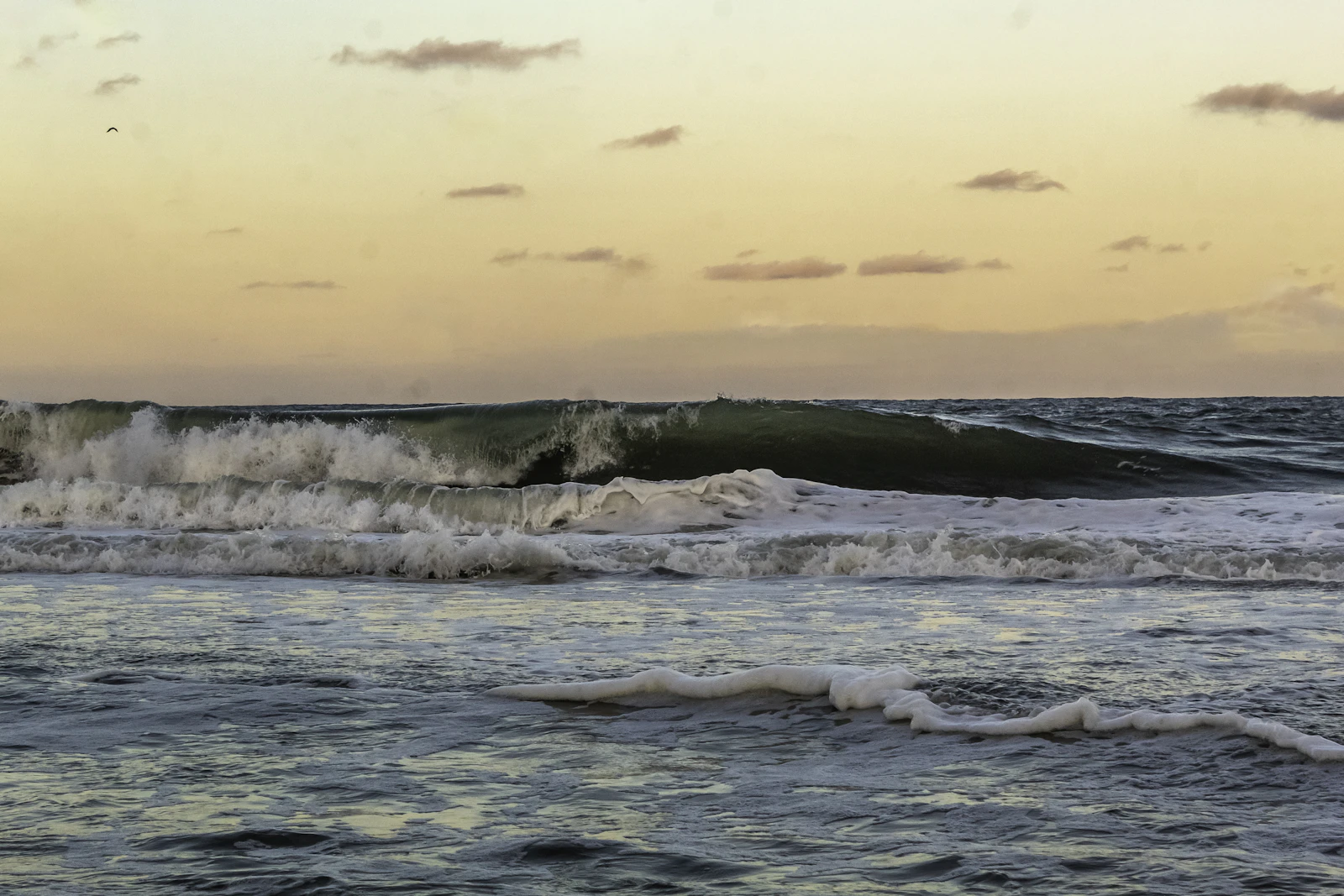 Ocean City, Maryland photo 21 by Jeff McLain
