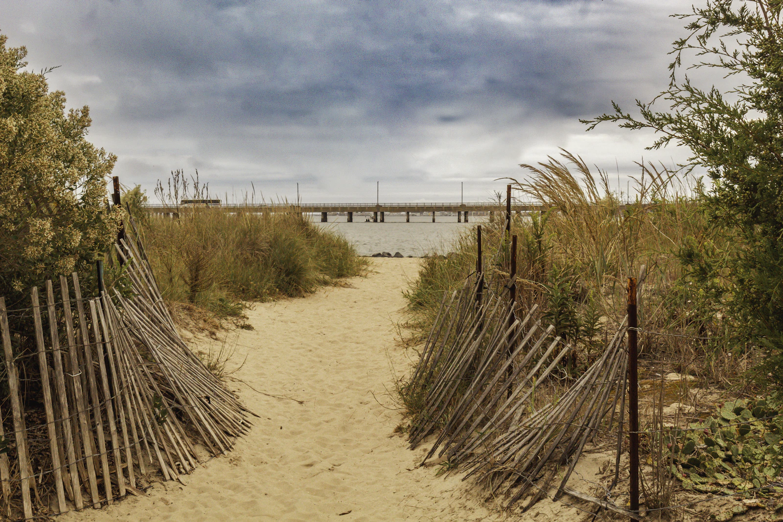 Ocean City, Maryland photo 29 by Jeff McLain