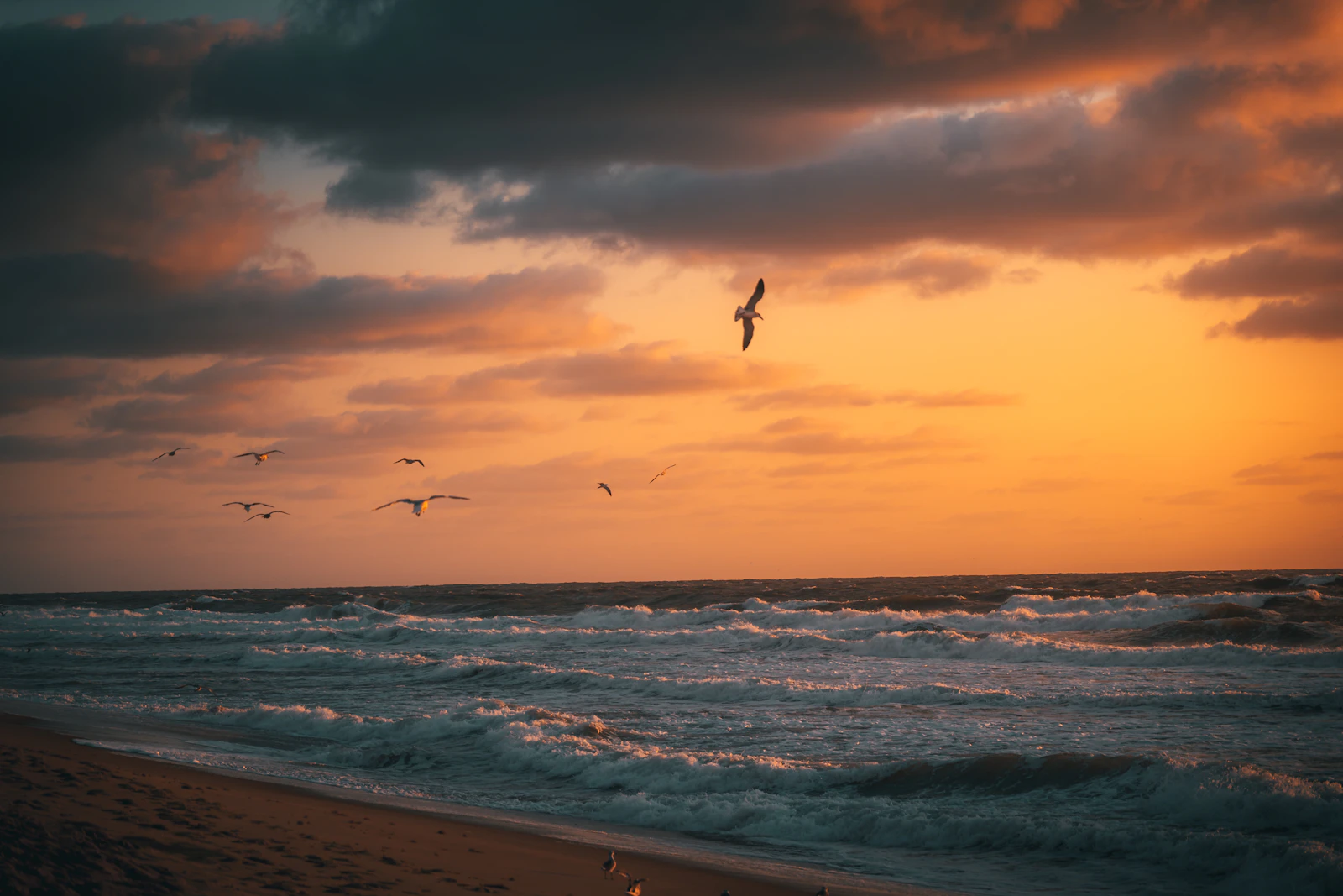 Ocean City, Maryland photo 25 by Jason Pischke
