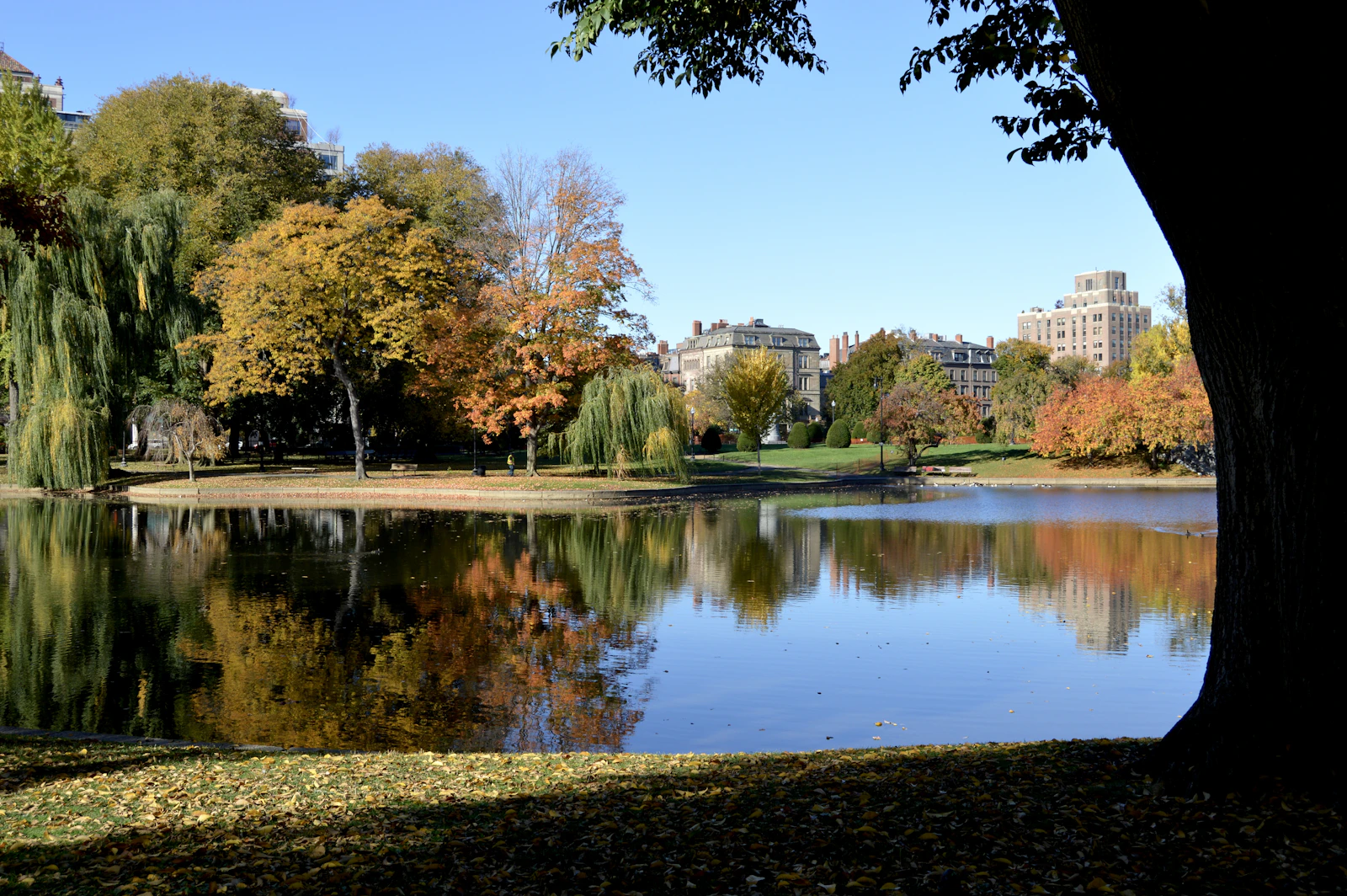 Boston, Massachusetts photo 30 by Daniel Bernal