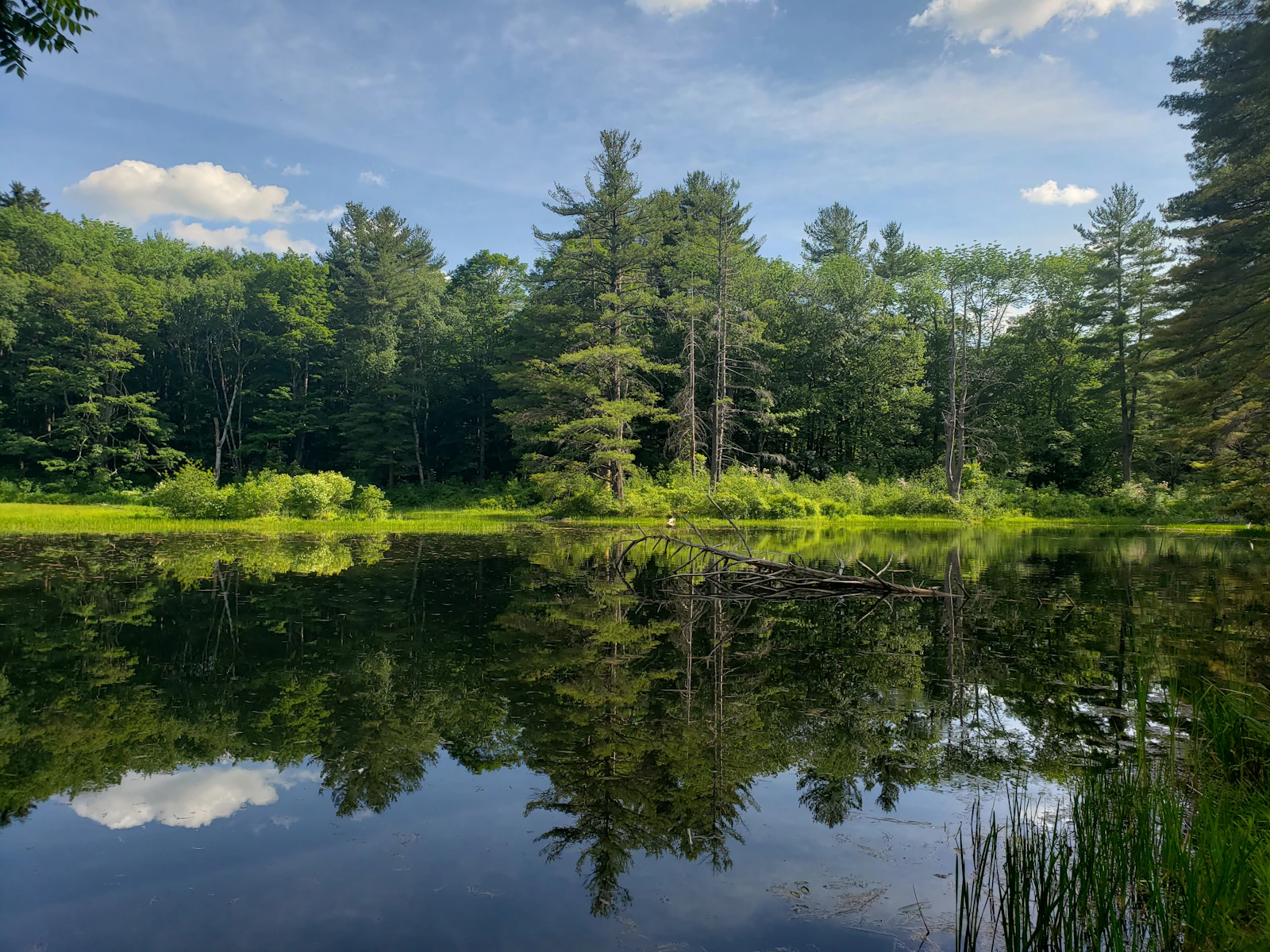 Lenox, Massachusetts photo 2 by Johanna Robinson