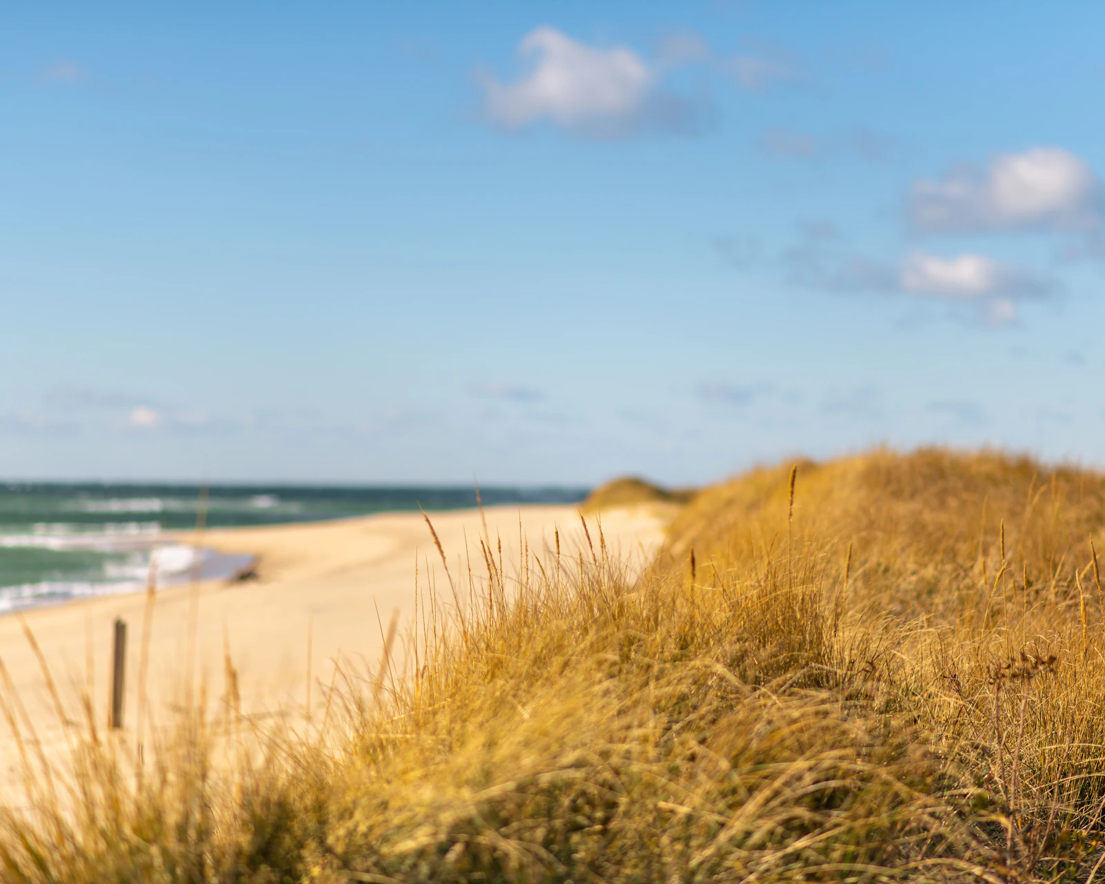 Nantucket, Massachusetts photo 4 by Jack Cohen