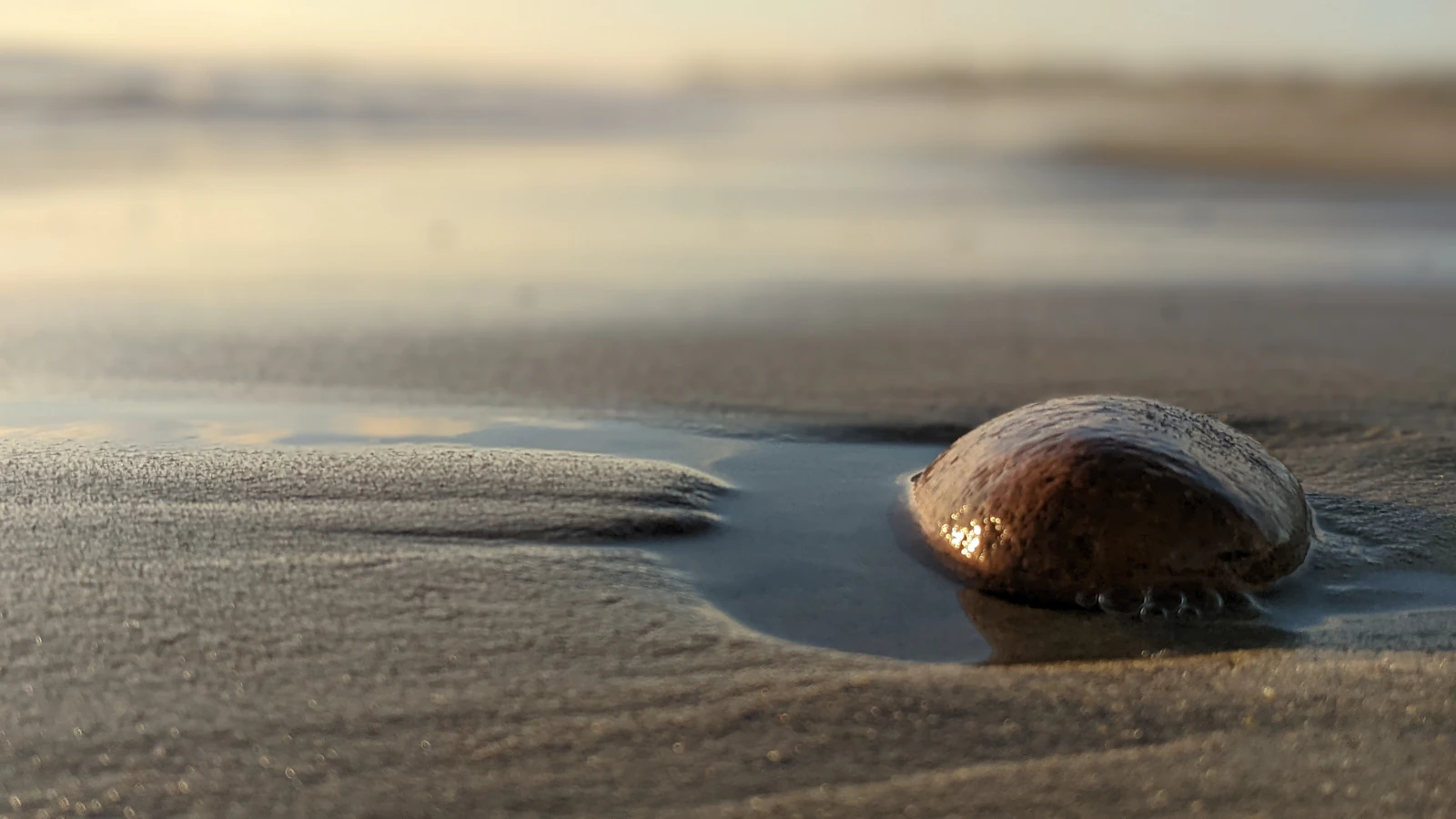 Nantucket, Massachusetts photo 23 by Jim Moriarty