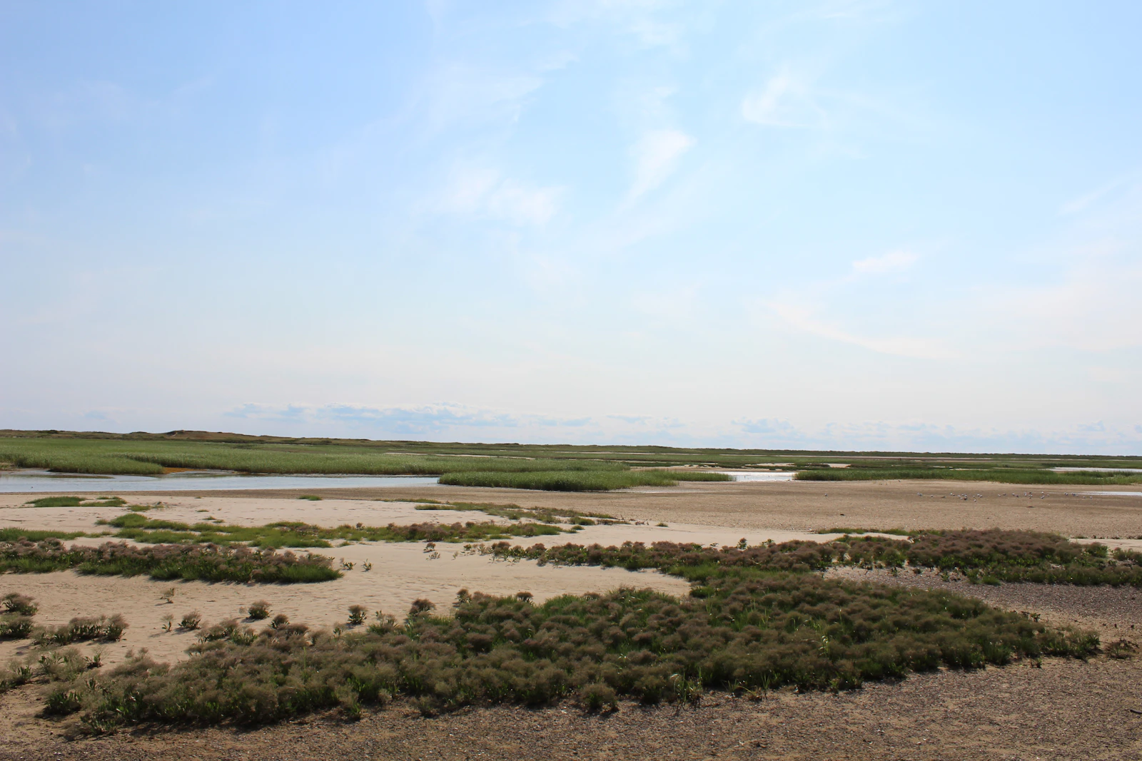 Provincetown, Massachusetts photo 10 by Tyler Butler