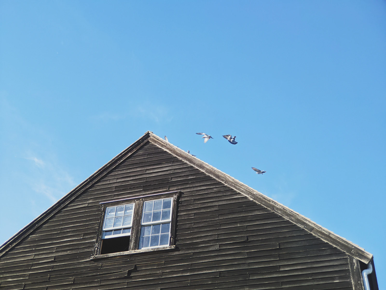 Salem, Massachusetts photo 29 by Johnson Martin