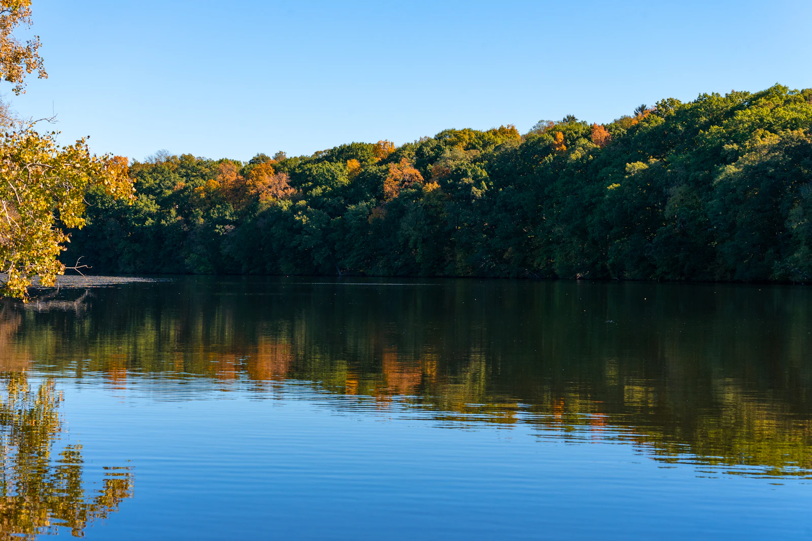 Ann Arbor, Michigan photo 6 by Justin Hu