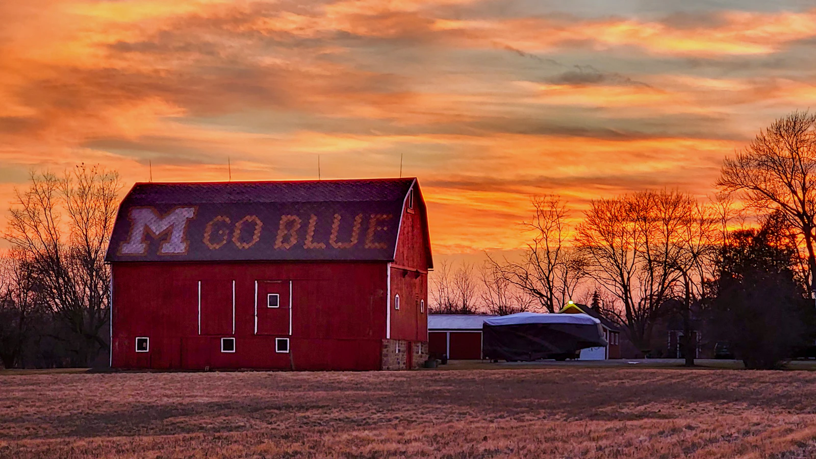 Ann Arbor, Michigan photo 10 by Brad Switzer