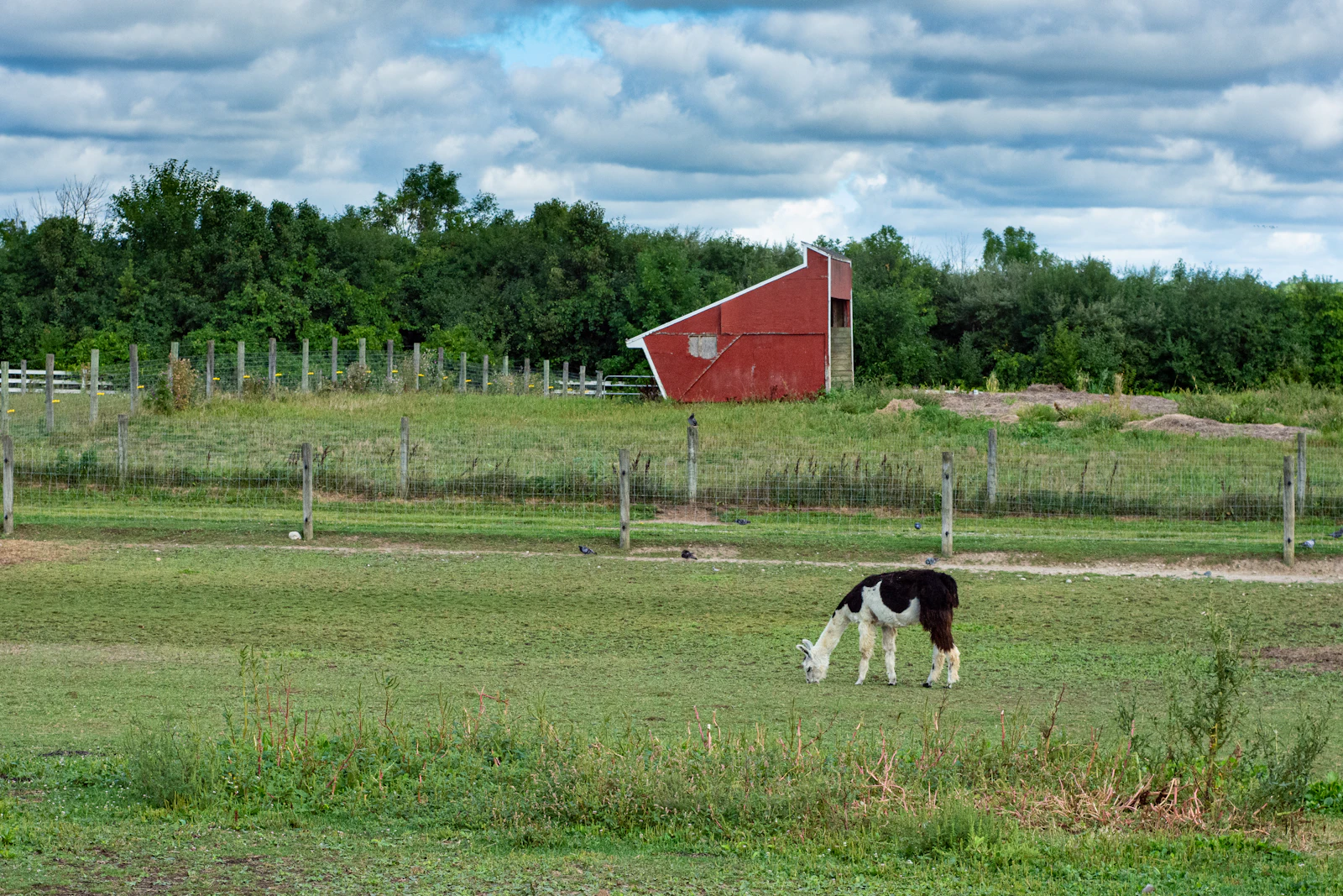 Ann Arbor, Michigan photo 23 by Christina Gillette