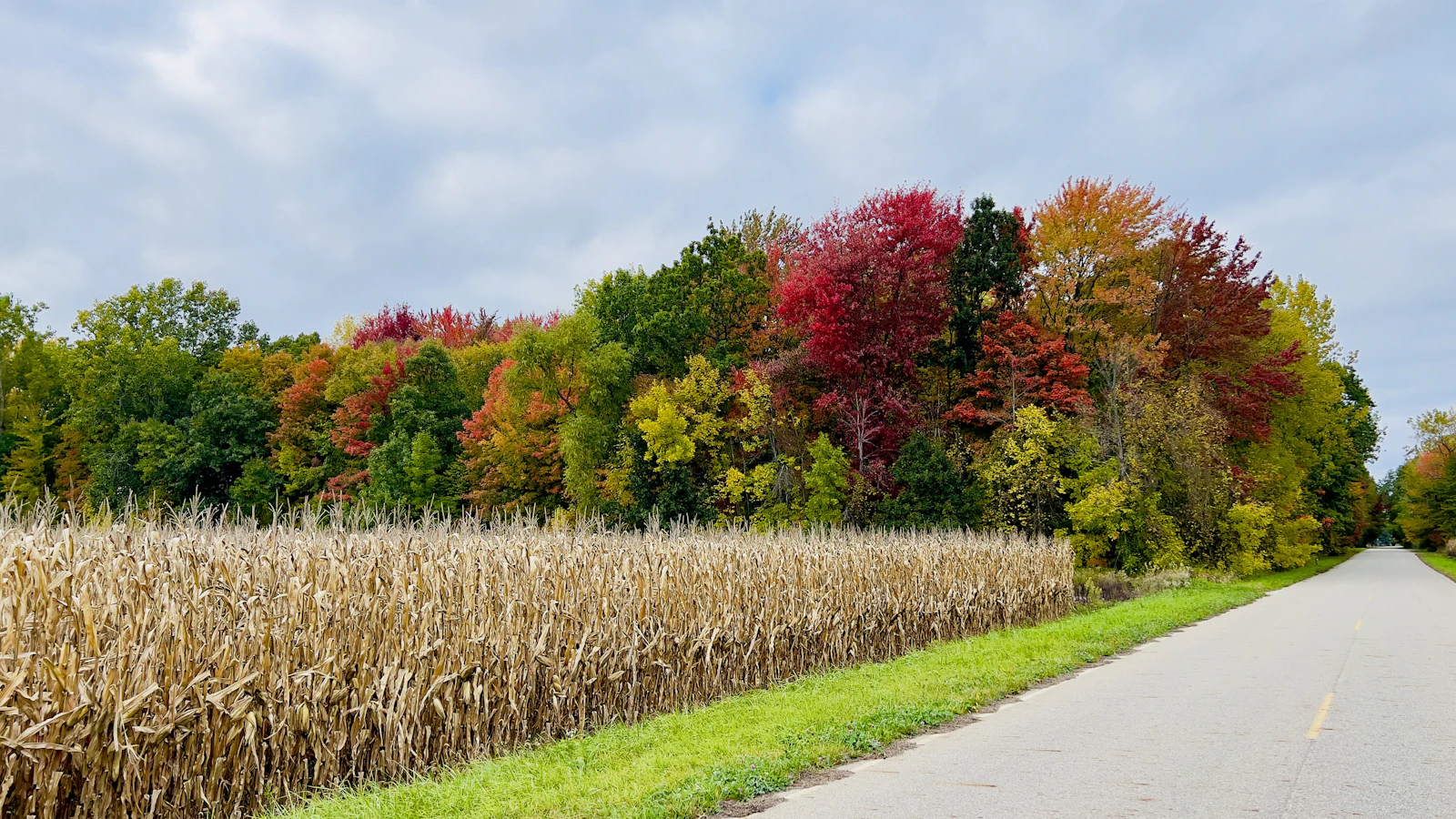 Frankenmuth, Michigan photo 18 by Patrick Donnelly