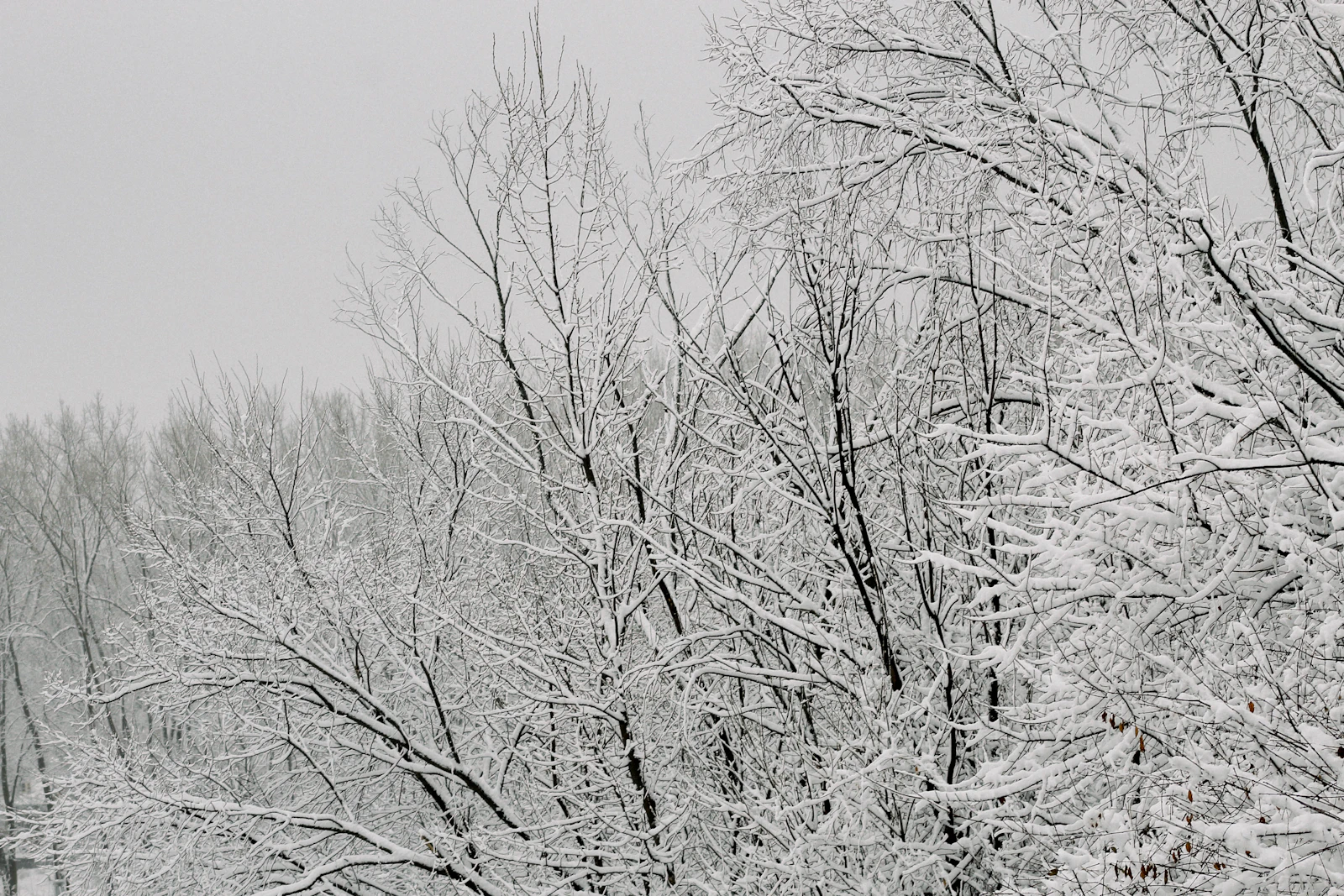 Grand Rapids, Michigan photo 28 by Aly Den Besten