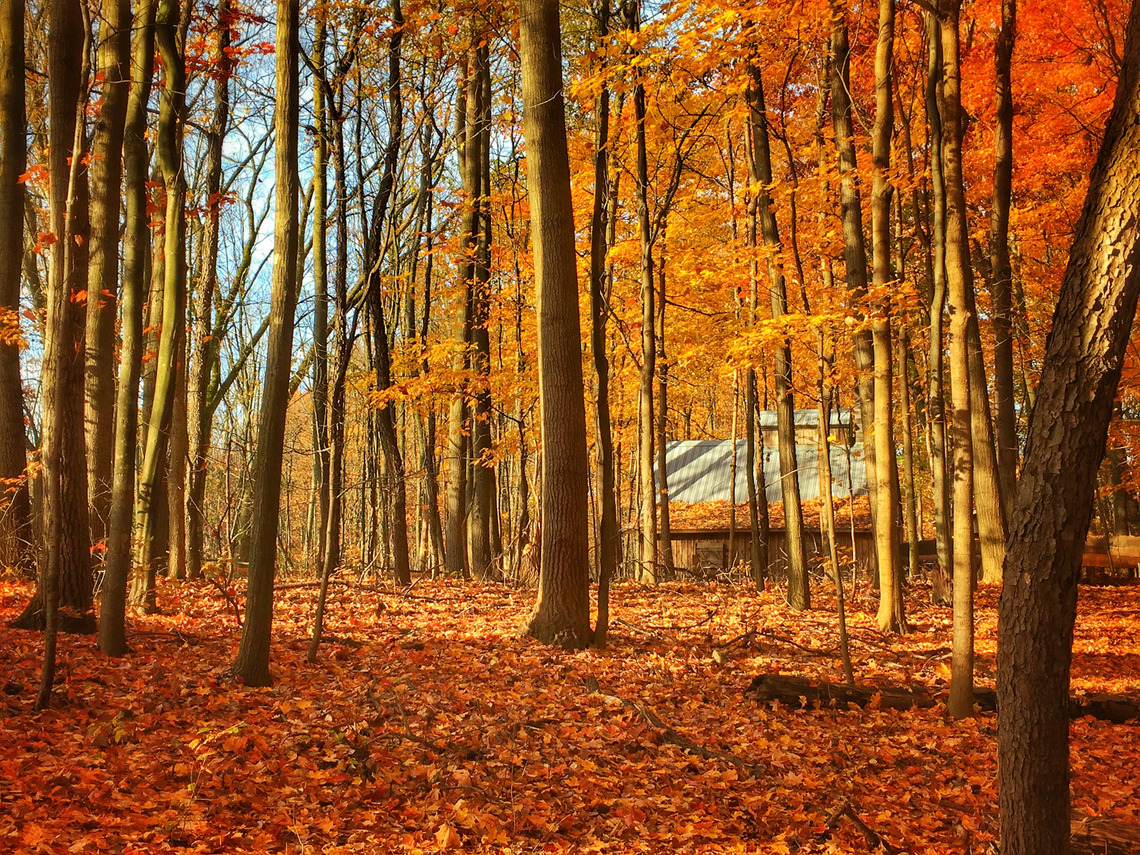 Grand Rapids, Michigan photo 7 by Jonathan Mast