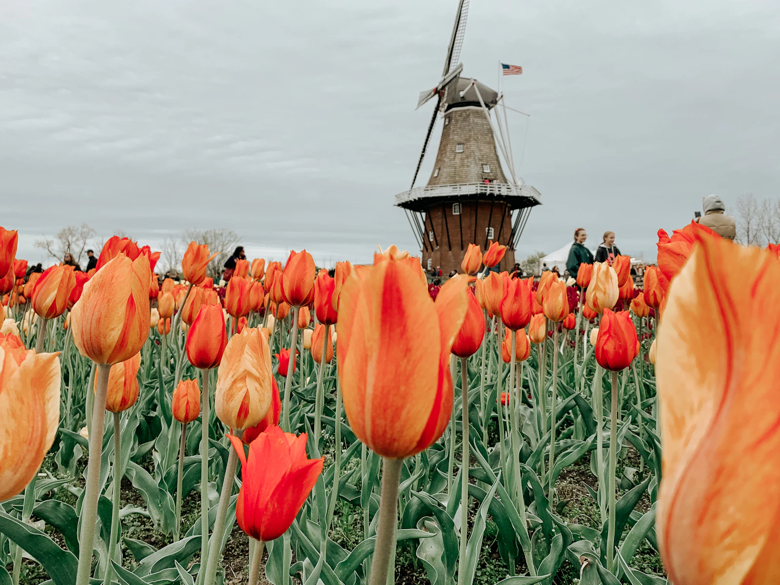 Holland, Michigan photo 5 by Arian R