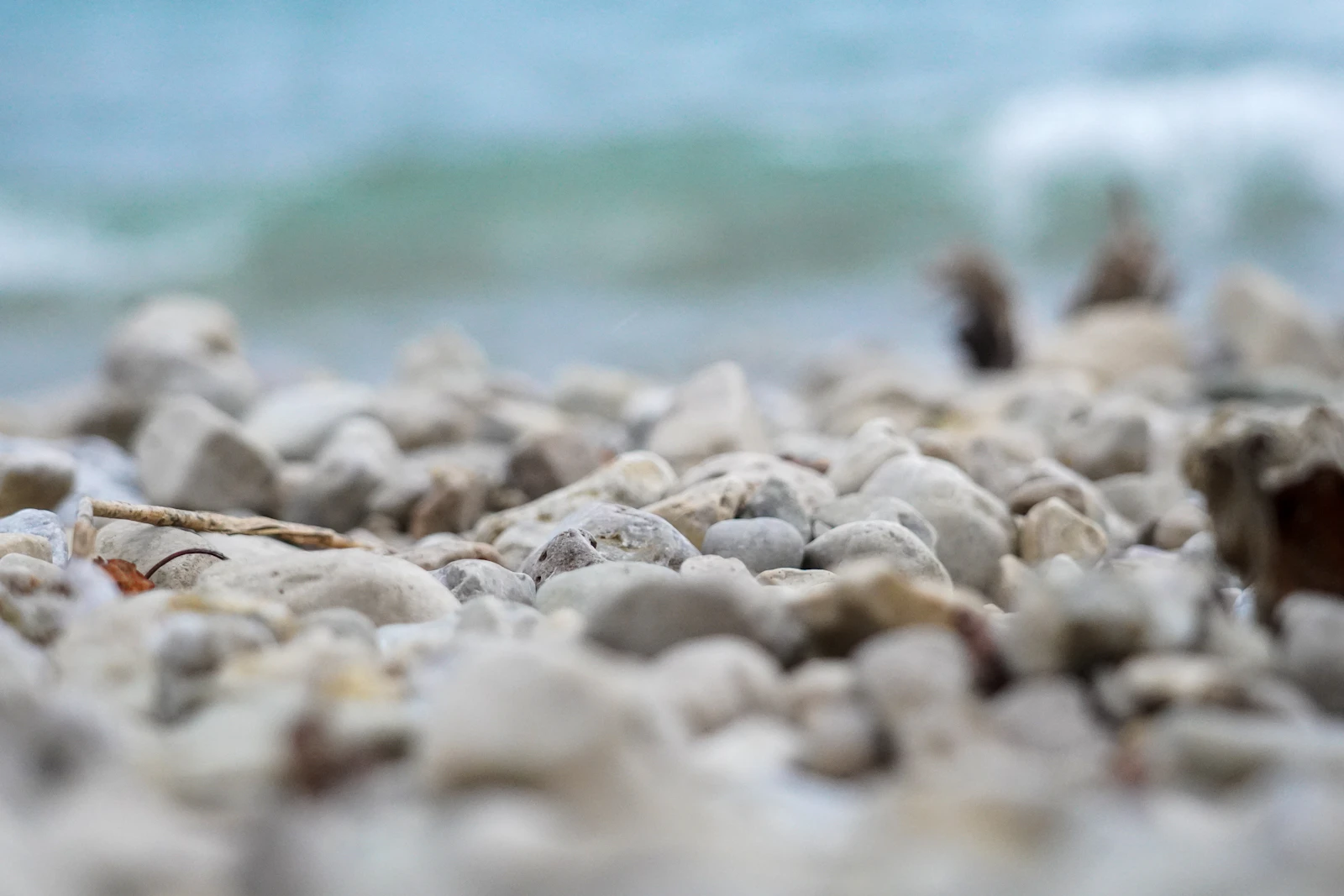 Mackinac Island, Michigan photo 29 by Erin Vanderklok