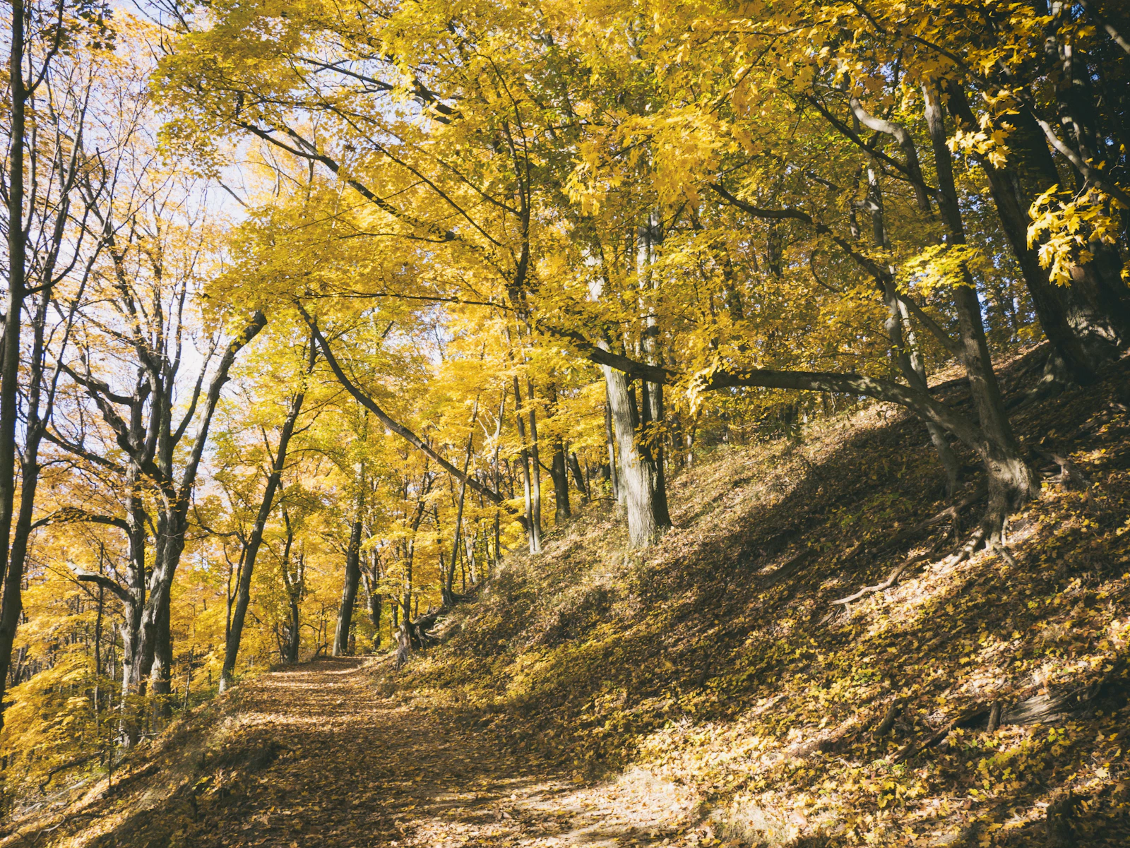 Saugatuck, Michigan photo 3 by Aaron Burden