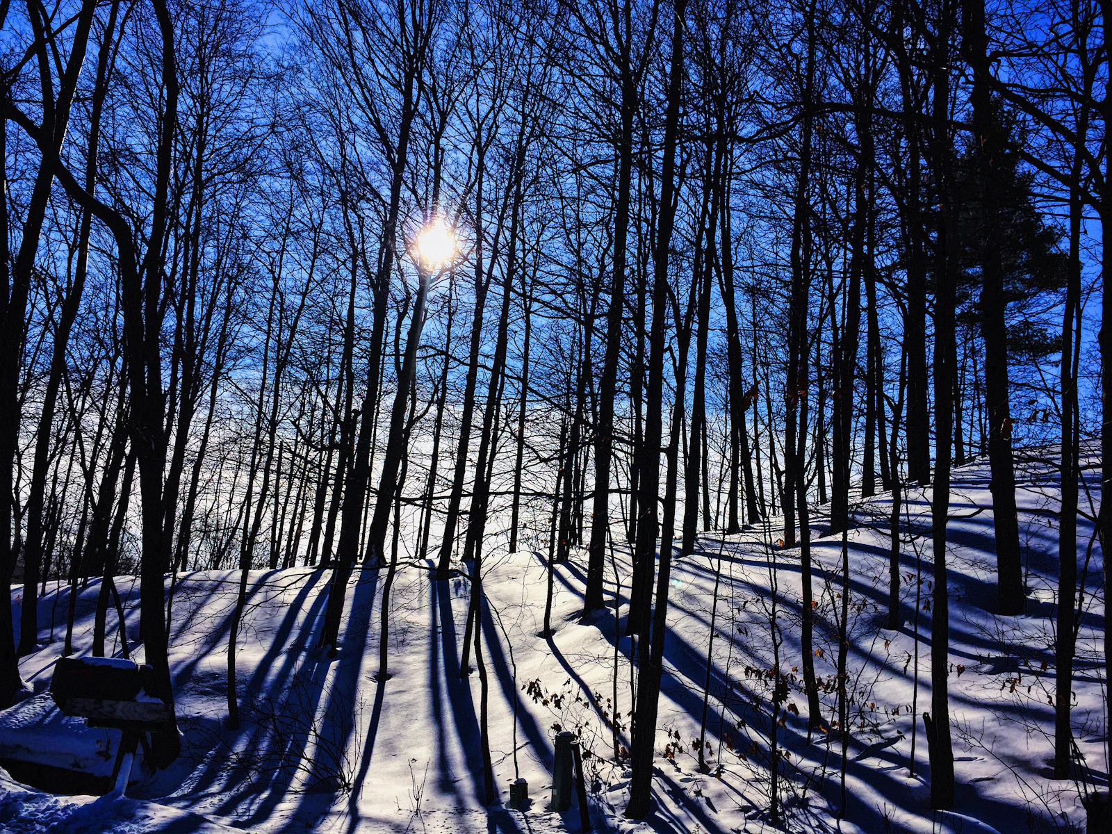 Traverse City, Michigan photo 9 by Bob Chisholm