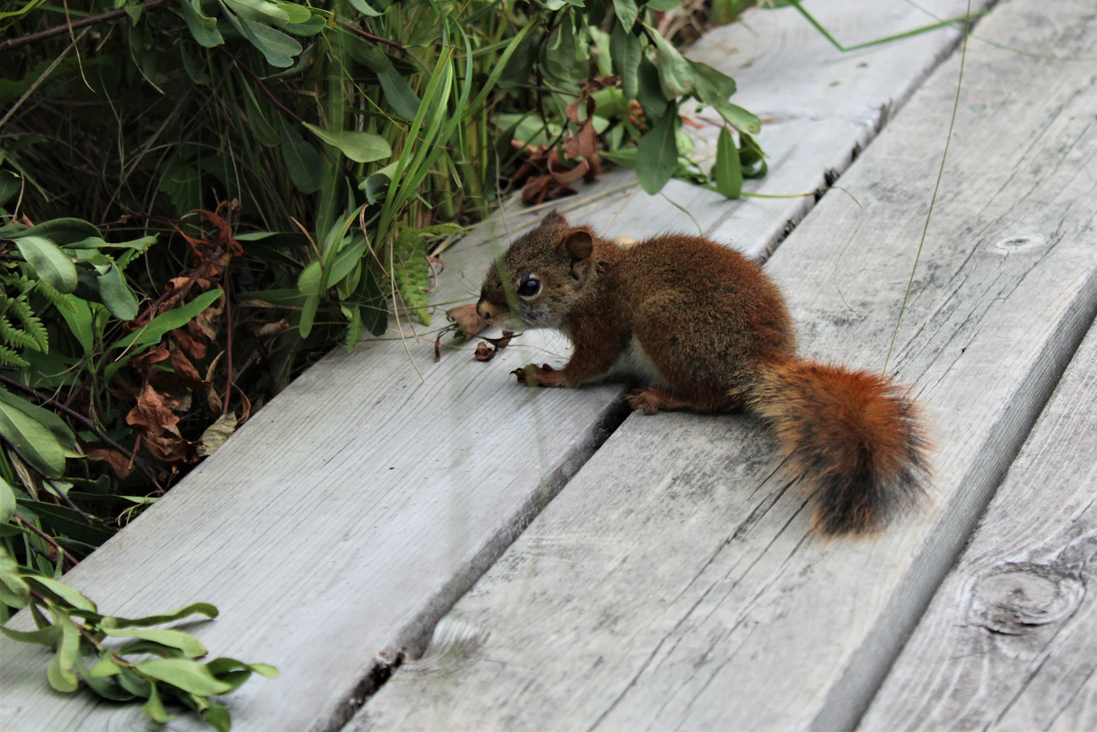 Traverse City, Michigan photo 19 by Emily Studer