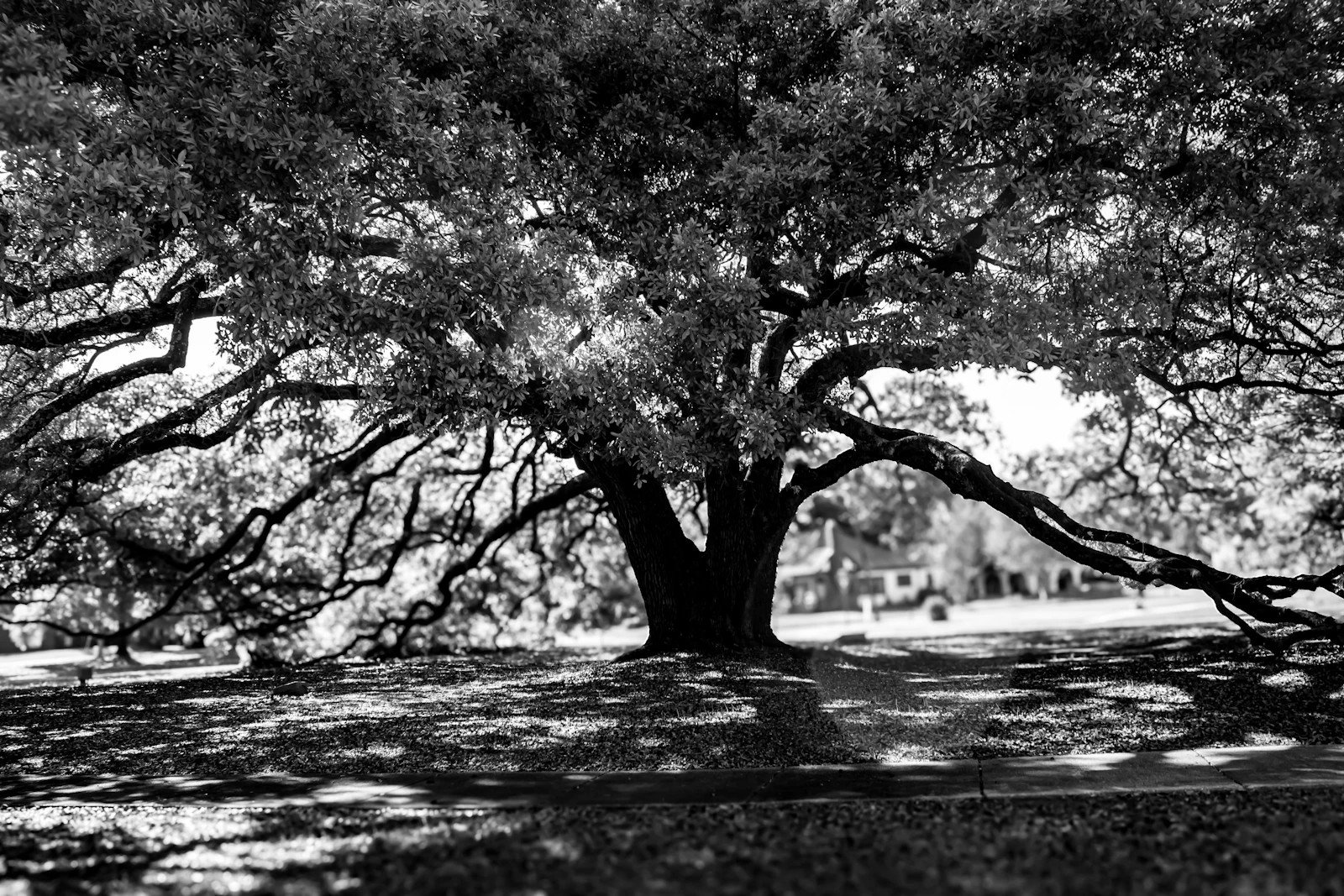 Biloxi, Mississippi photo 9 by Jennifer Simmons
