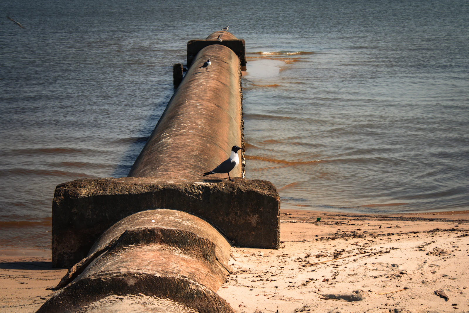 Biloxi, Mississippi photo 7 by Jennifer Simmons
