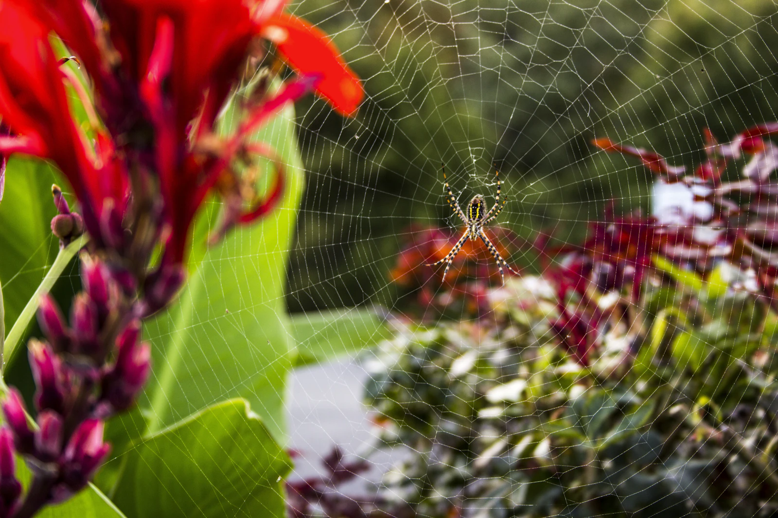 Branson, Missouri photo 21 by Gary Fultz