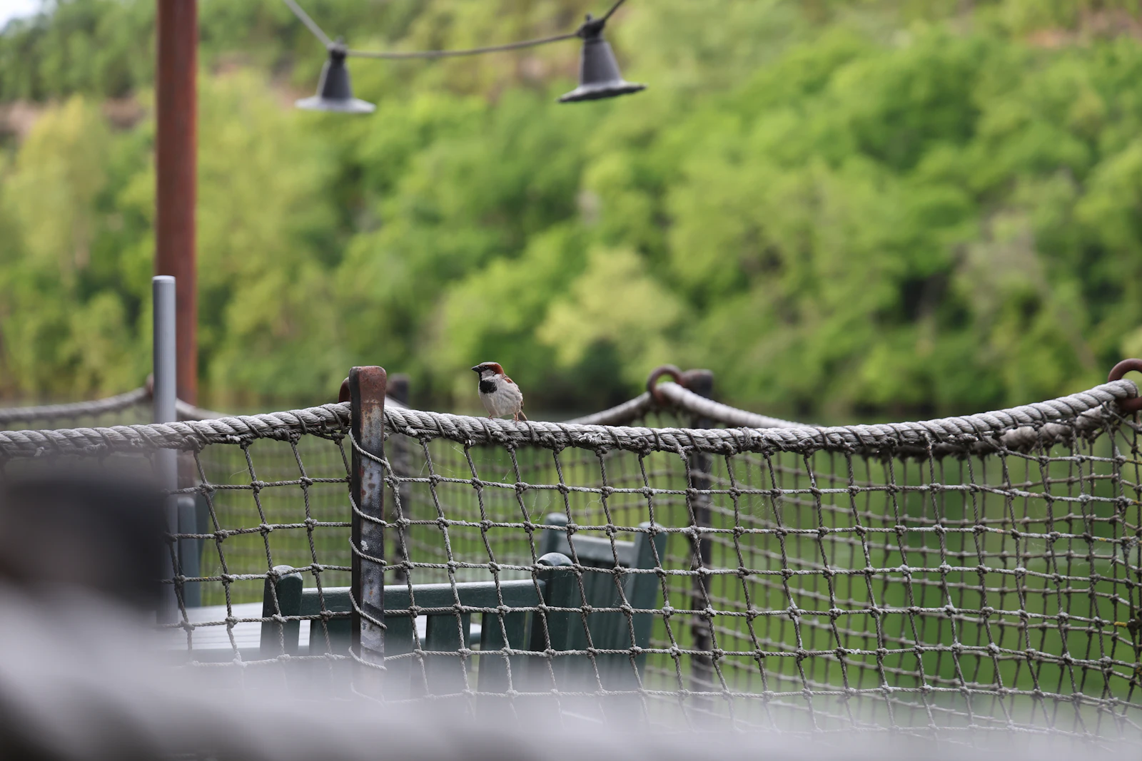 Branson, Missouri photo 7 by Alistair Missing