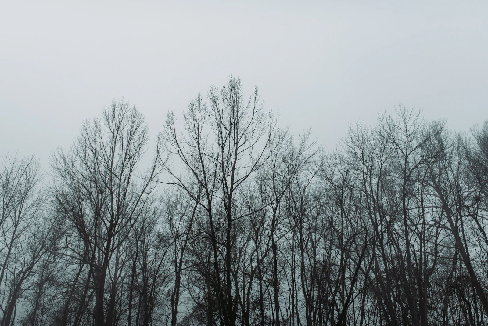 Branson, Missouri photo 22 by Hayden Scott