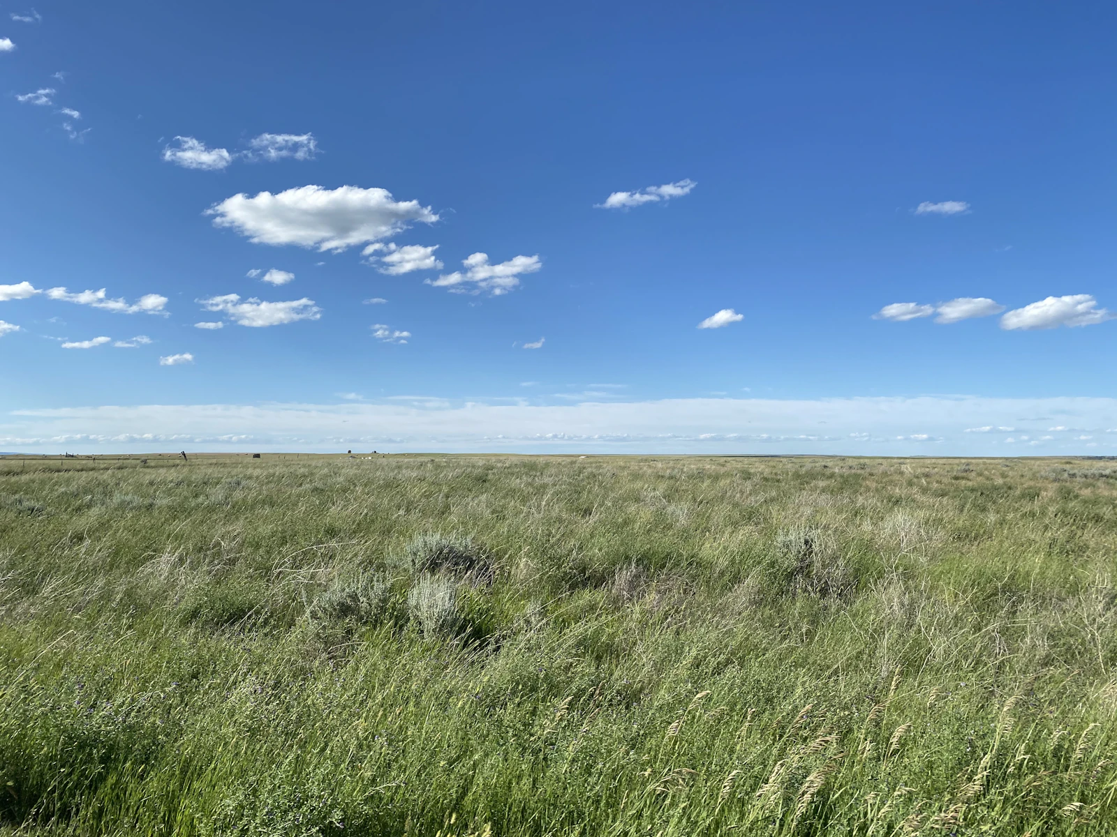 Big Sky, Montana photo 17 by Trang Ami