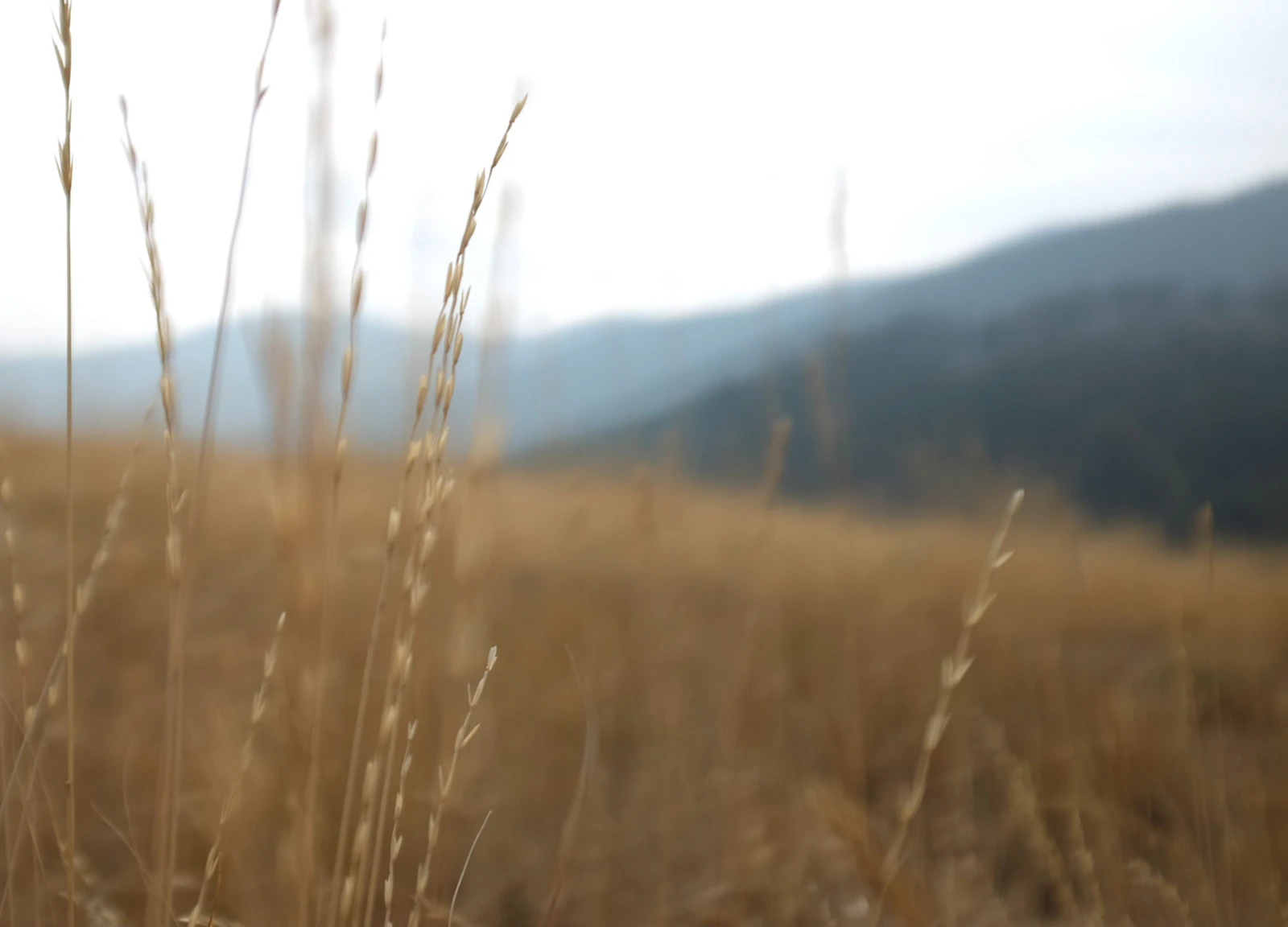 Big Sky, Montana photo 26 by Sarah Burger