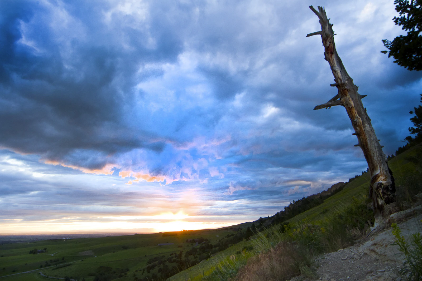 Bozeman, Montana photo 11 by Lee Peters