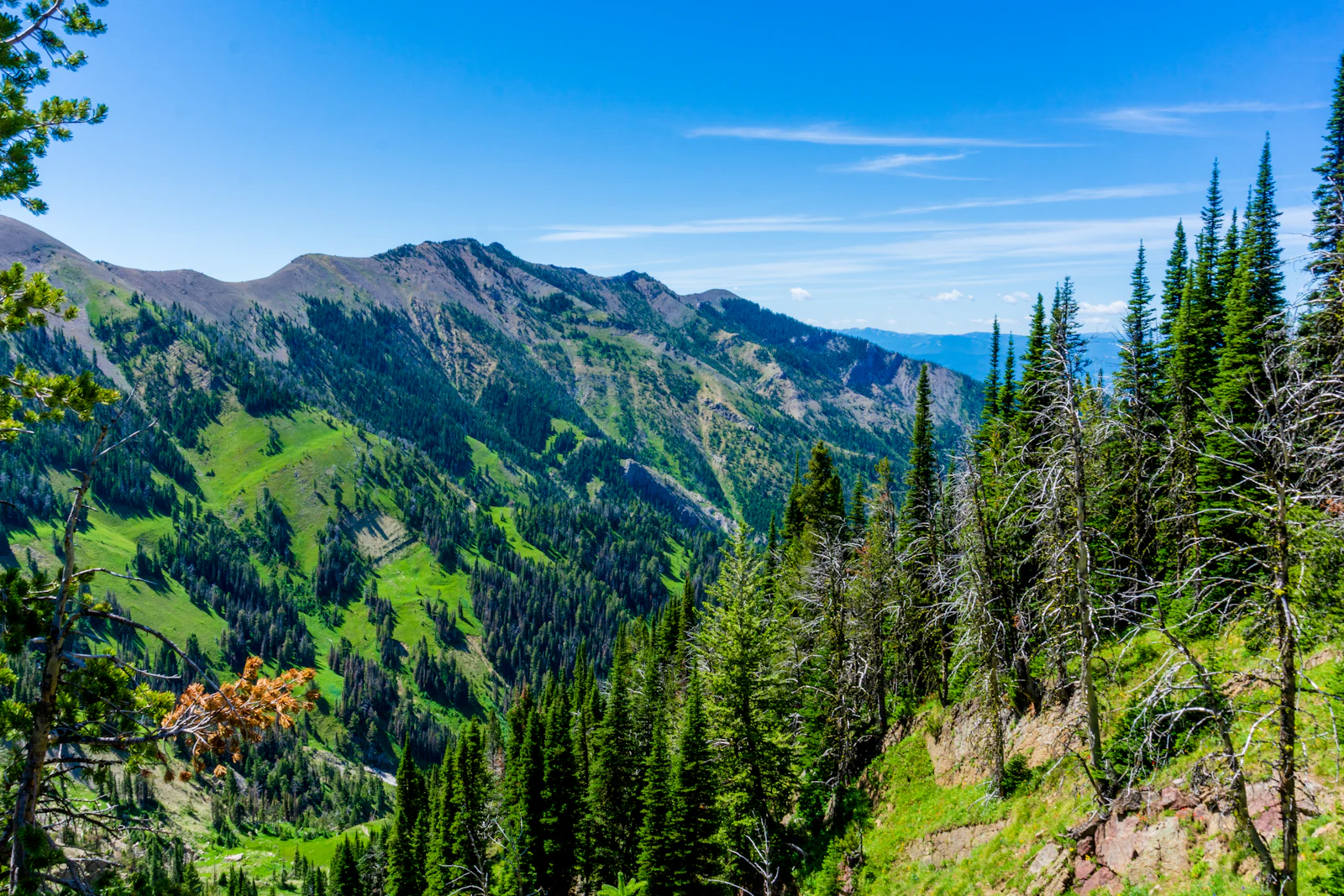 Bozeman, Montana photo 6 by Trevor Vannoy