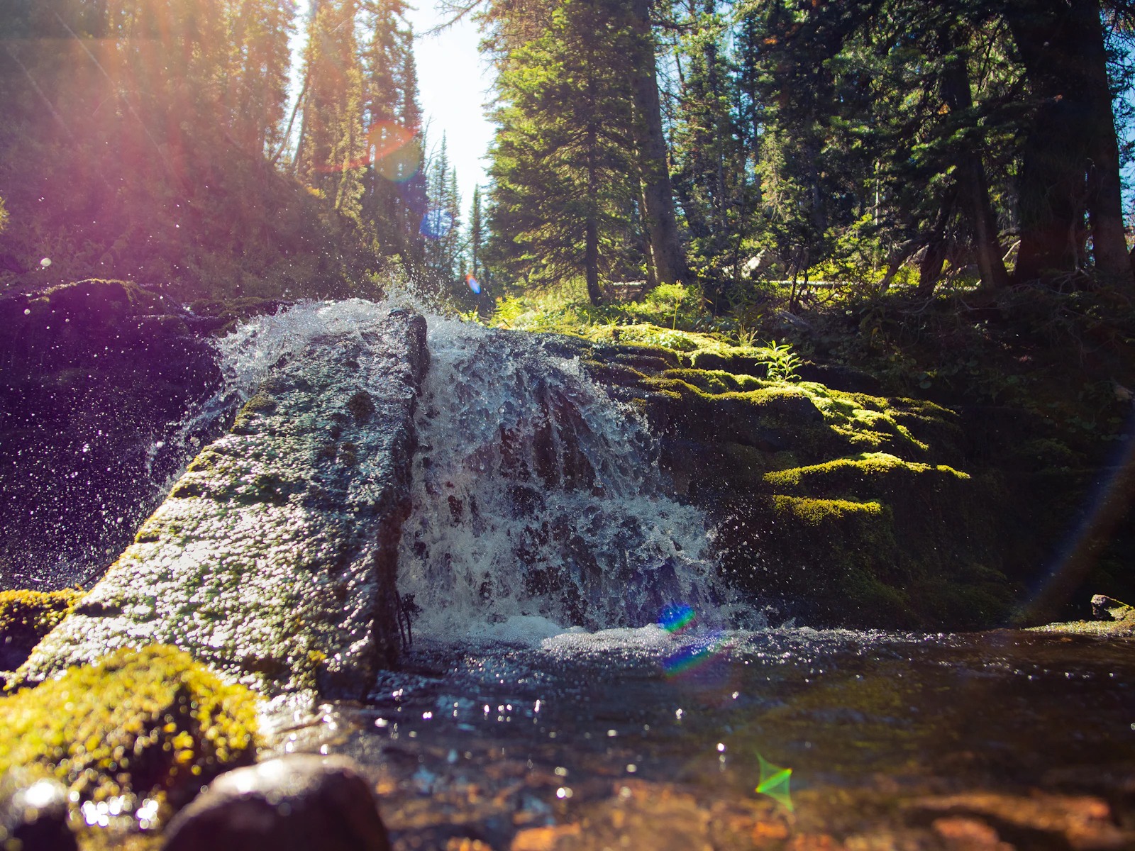 Bozeman, Montana photo 29 by Colter Olmstead