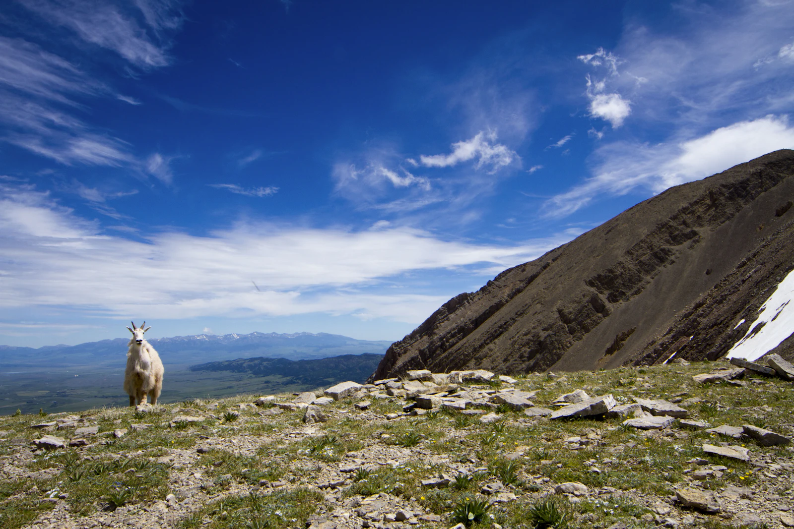 Bozeman, Montana photo 10 by Lee Peters