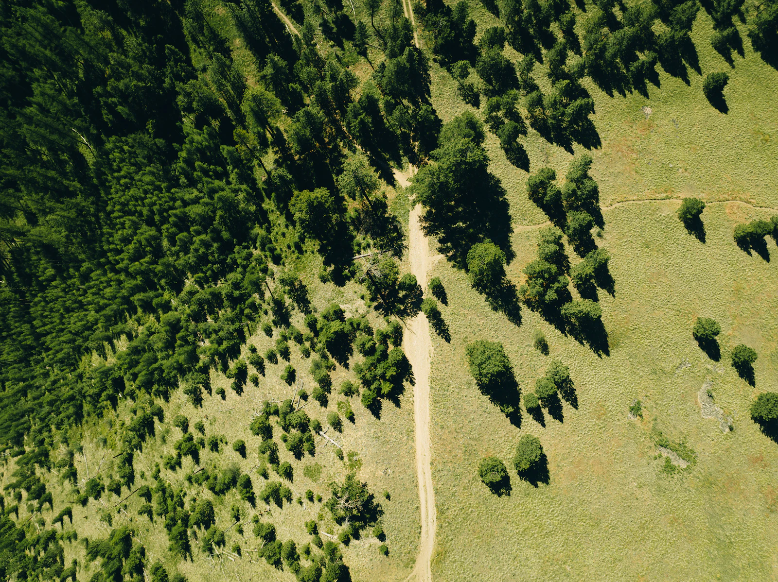 Missoula, Montana photo 28 by Yohan Marion