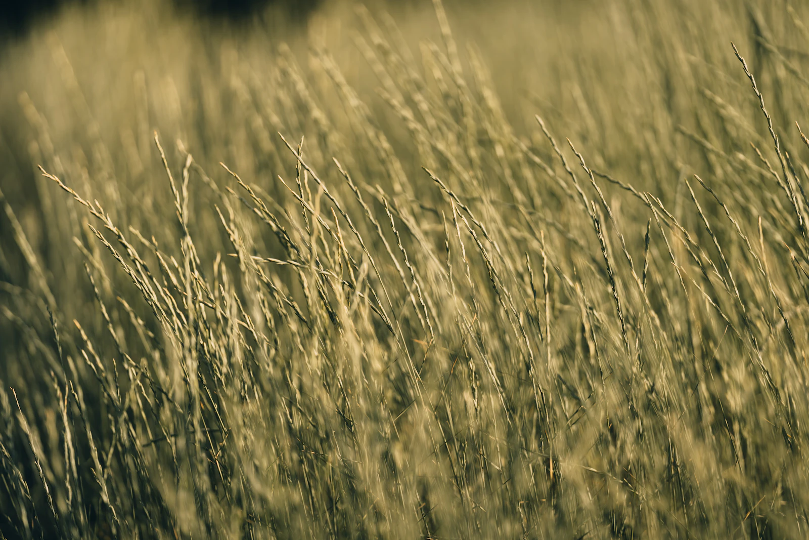 Missoula, Montana photo 30 by Yohan Marion