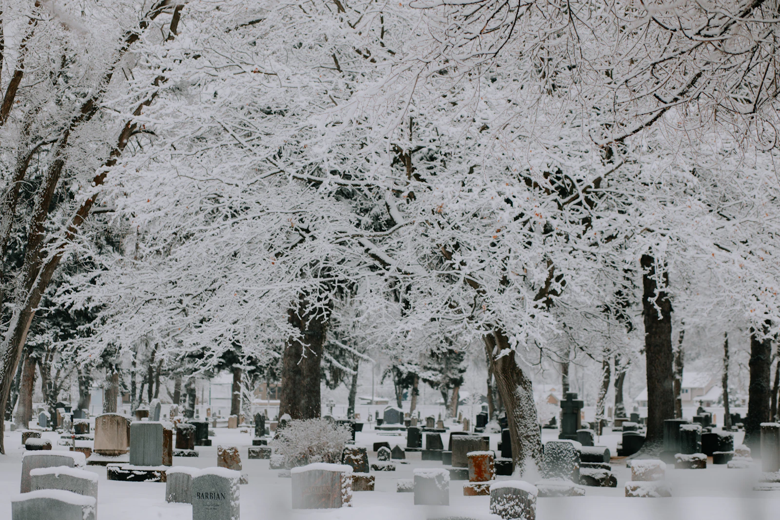 Missoula, Montana photo 13 by Ashe Walker