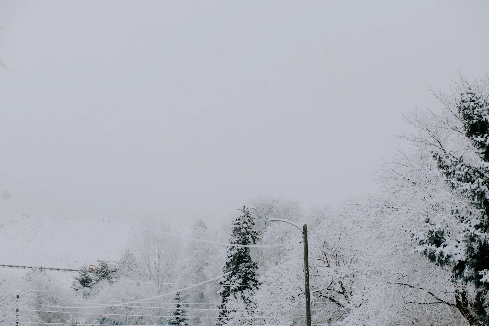 Missoula, Montana photo 10 by Ashe Walker