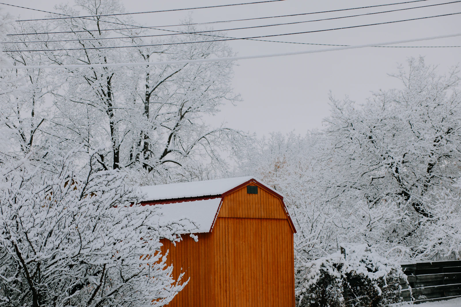 Missoula, Montana photo 19 by Ashe Walker