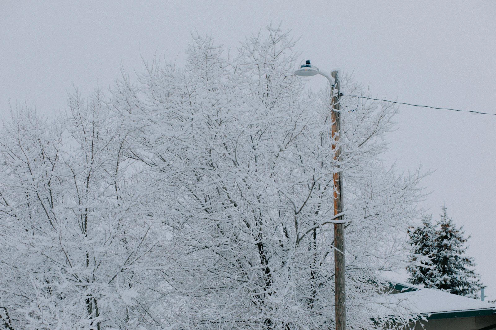Missoula, Montana photo 16 by Ashe Walker