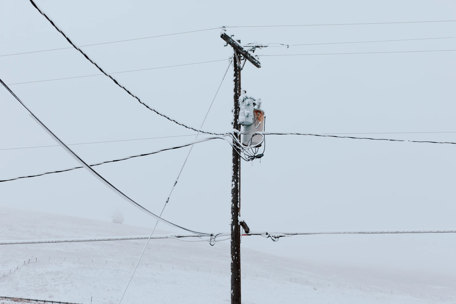 Missoula, Montana photo 11 by Ashe Walker