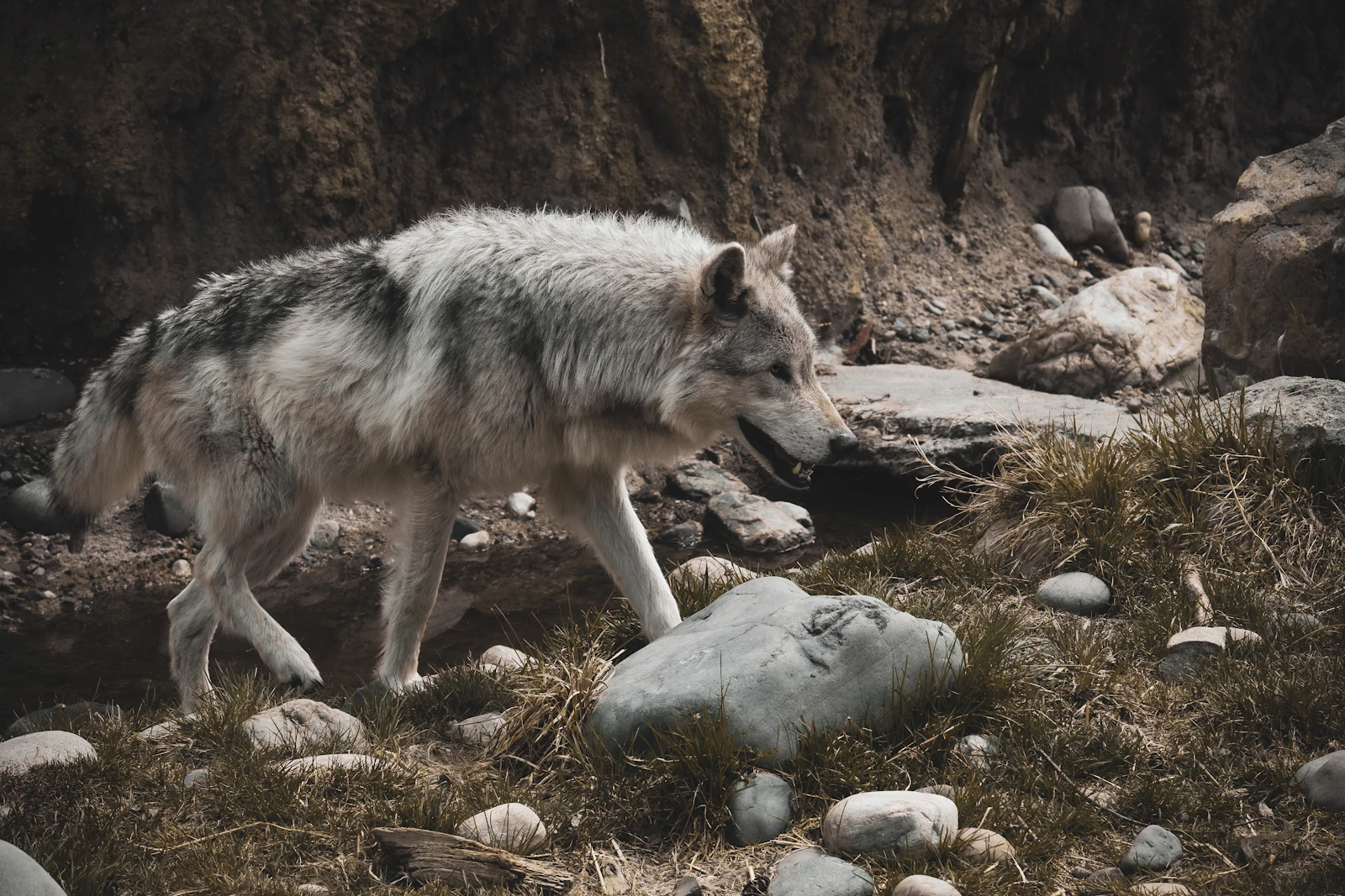 West Yellowstone, Montana photo 8 by Jeff Heaton