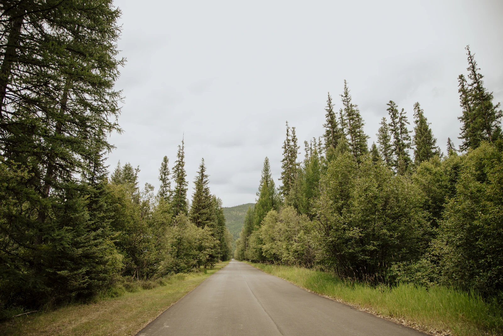 Whitefish, Montana photo 17 by Lily Miller
