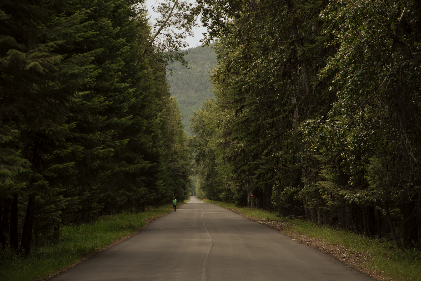 Whitefish, Montana photo 19 by Lily Miller