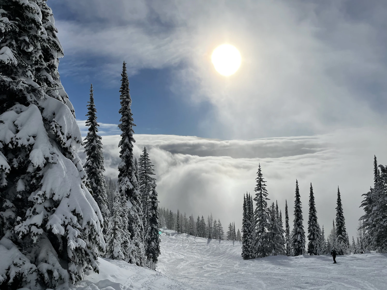 Whitefish, Montana photo 14 by Lee Sullivan