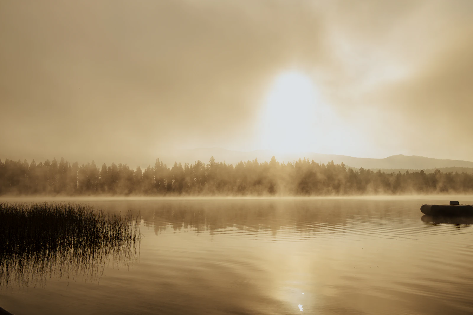 Whitefish, Montana photo 15 by Lily Miller
