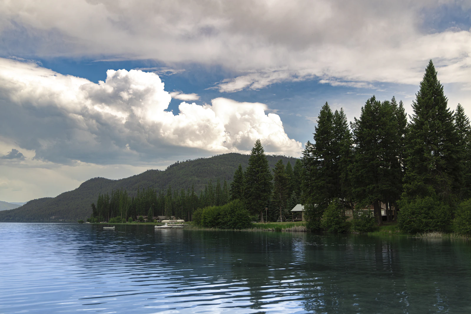 Whitefish, Montana photo 9 by Lily Miller