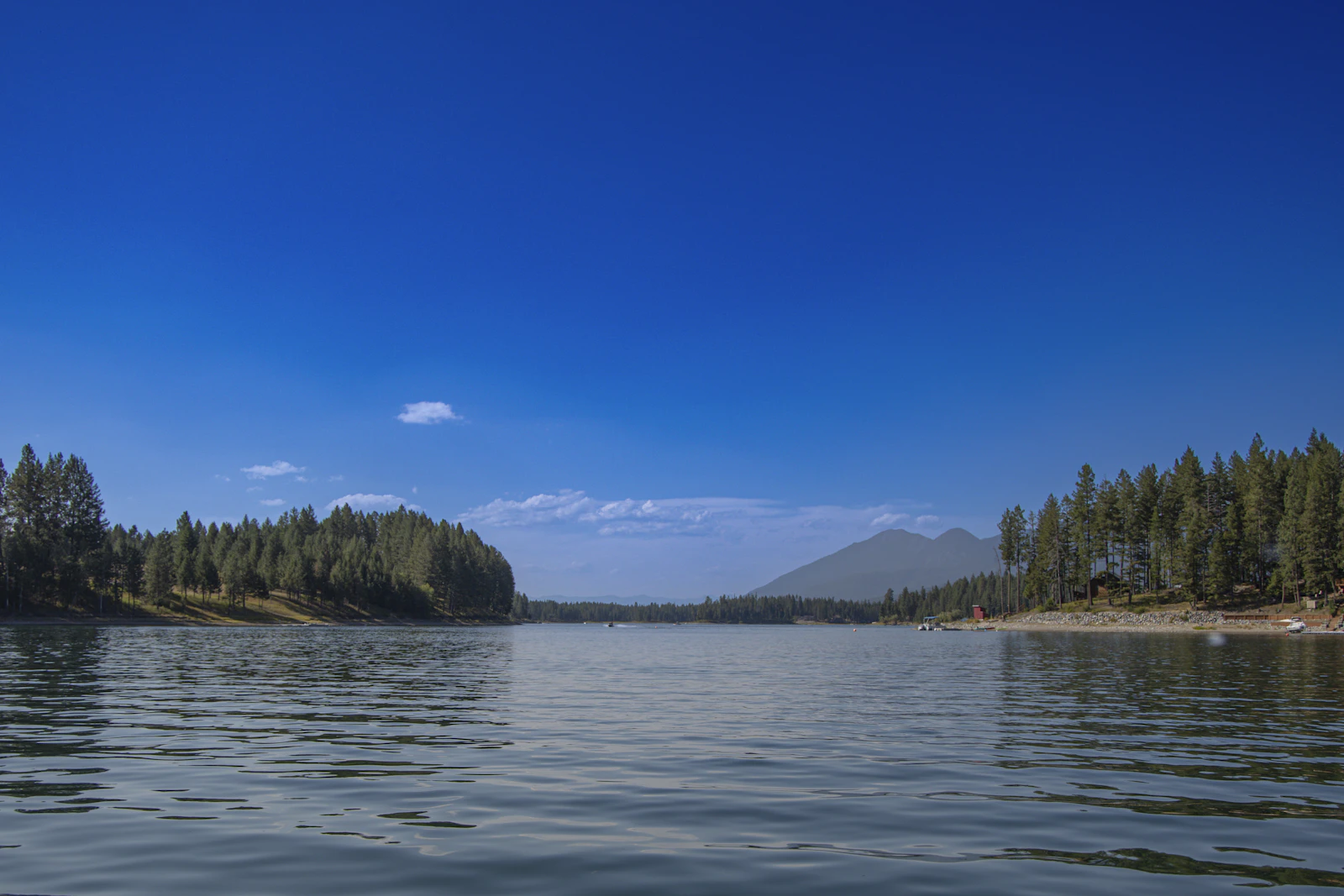Whitefish, Montana photo 10 by Lily Miller