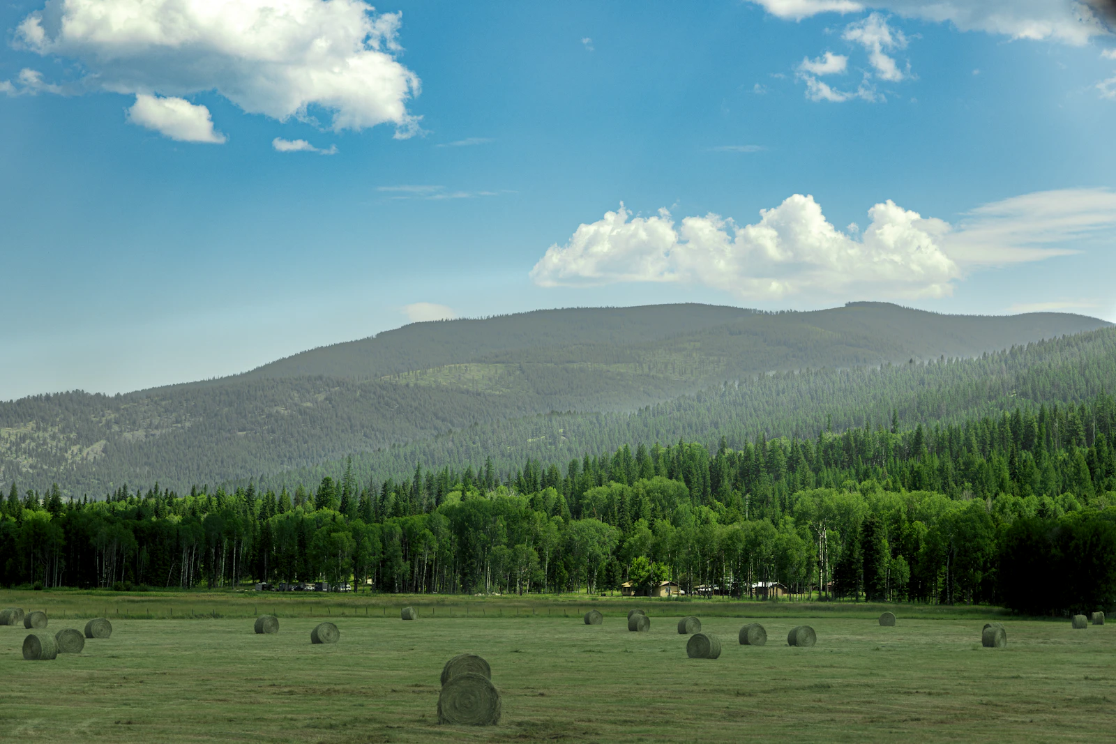 Whitefish, Montana photo 21 by Lily Miller