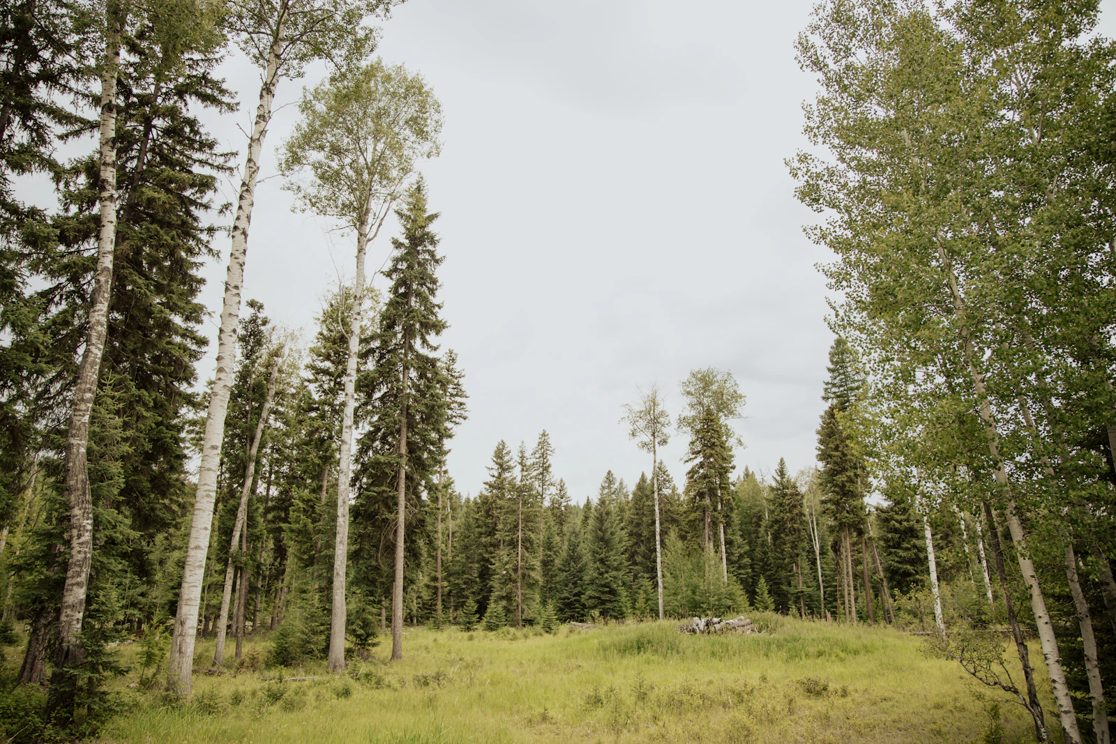 Whitefish, Montana photo 20 by Lily Miller