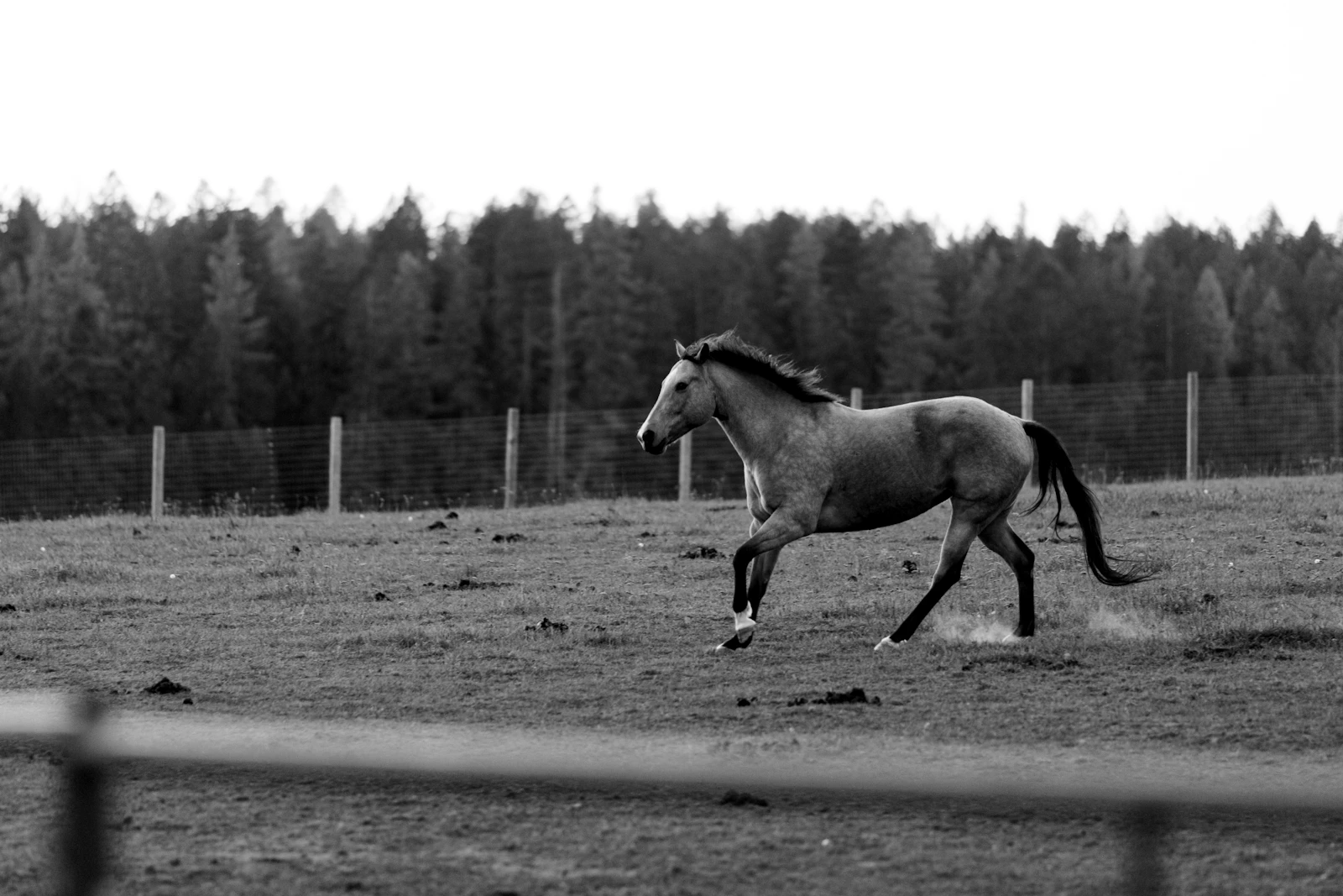 Whitefish, Montana photo 27 by Katie Moum