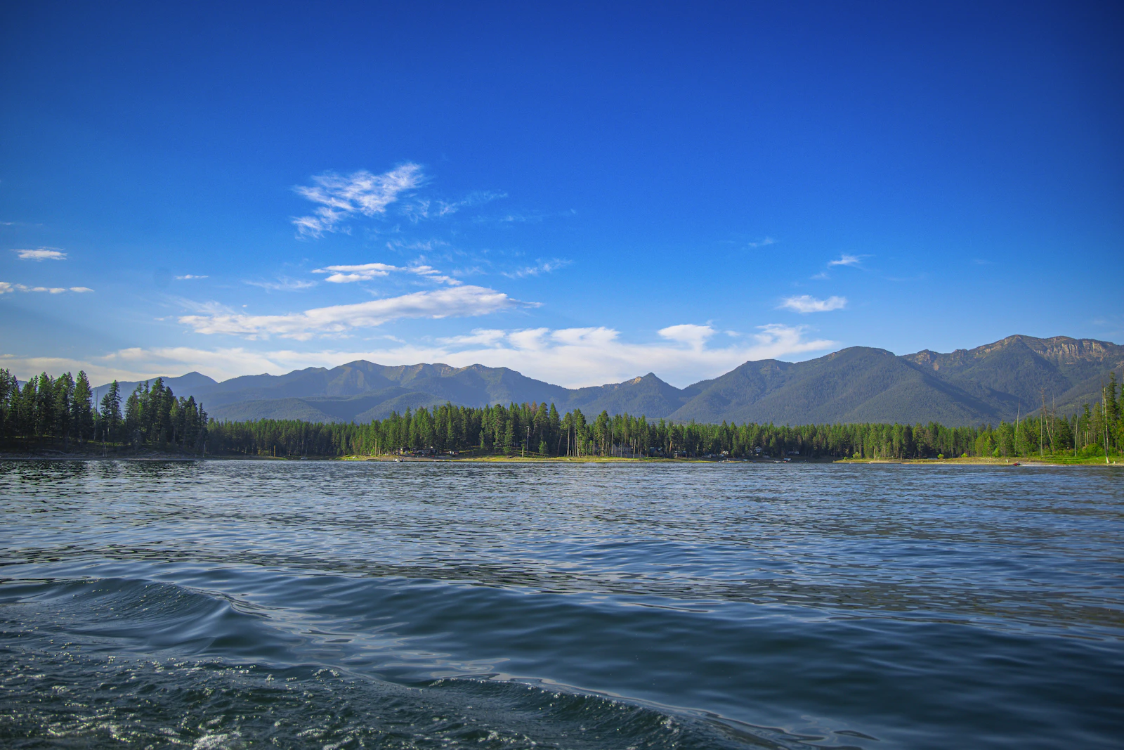 Whitefish, Montana photo 11 by Lily Miller
