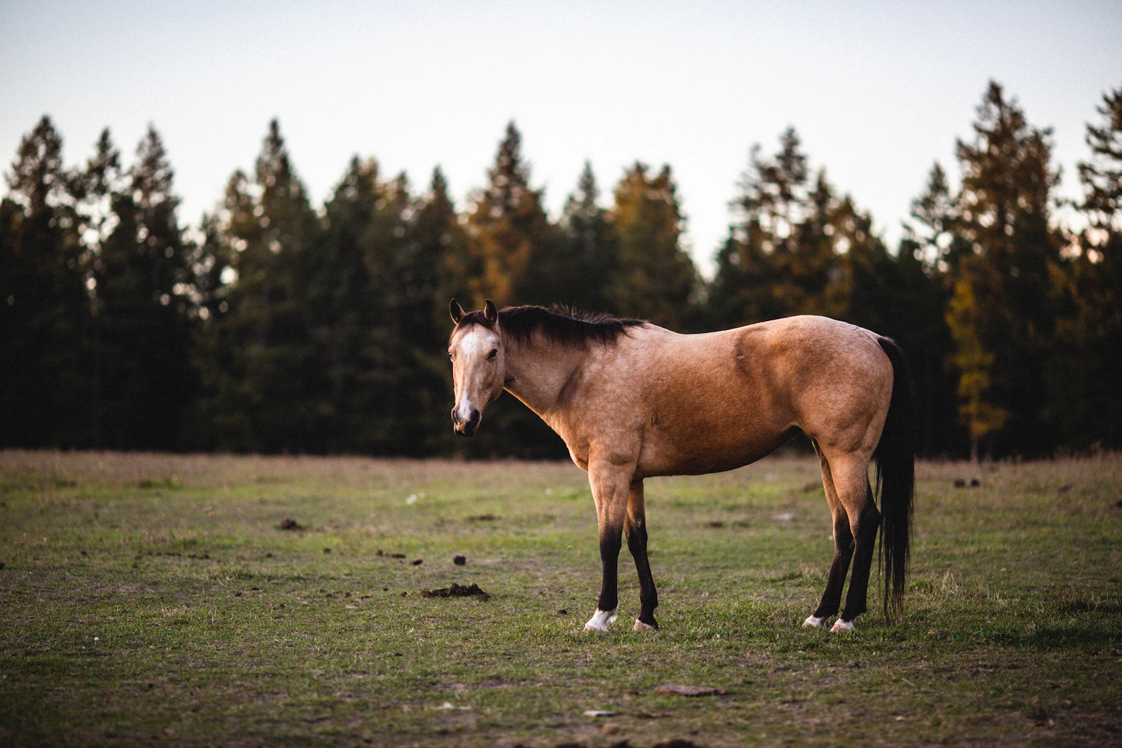 Whitefish, Montana photo 28 by Katie Moum